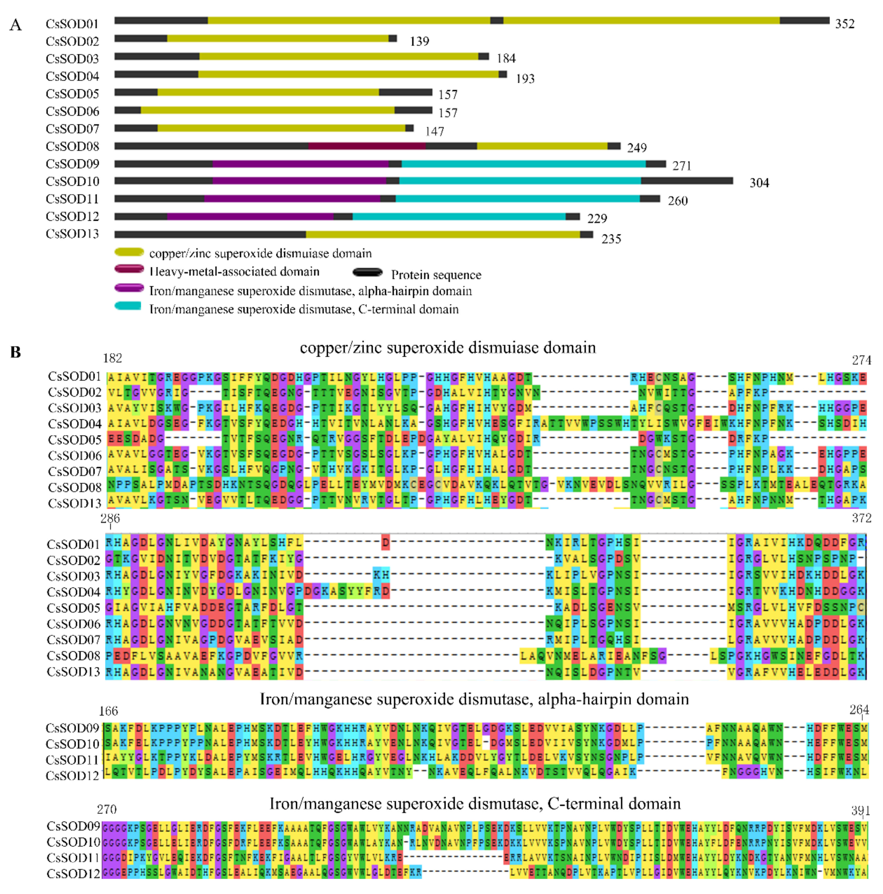 Agriculture 12 01254 g003 Agriculture 12 01254 g003