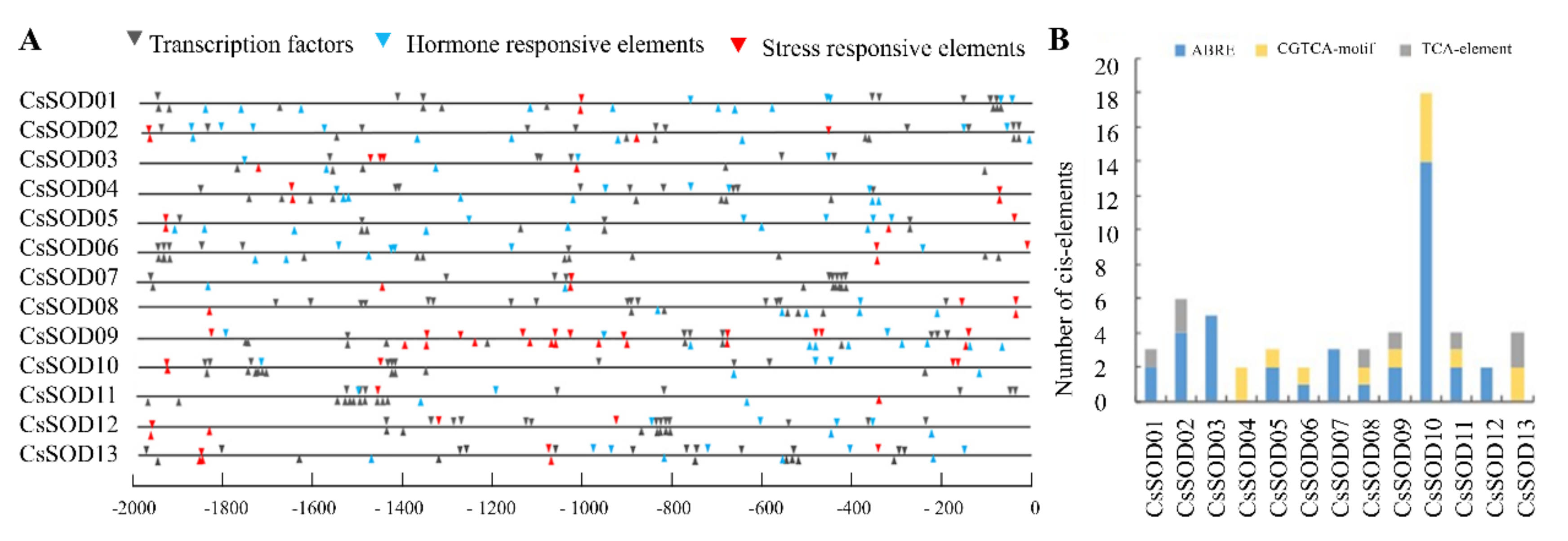Agriculture 12 01254 g006 Agriculture 12 01254 g006
