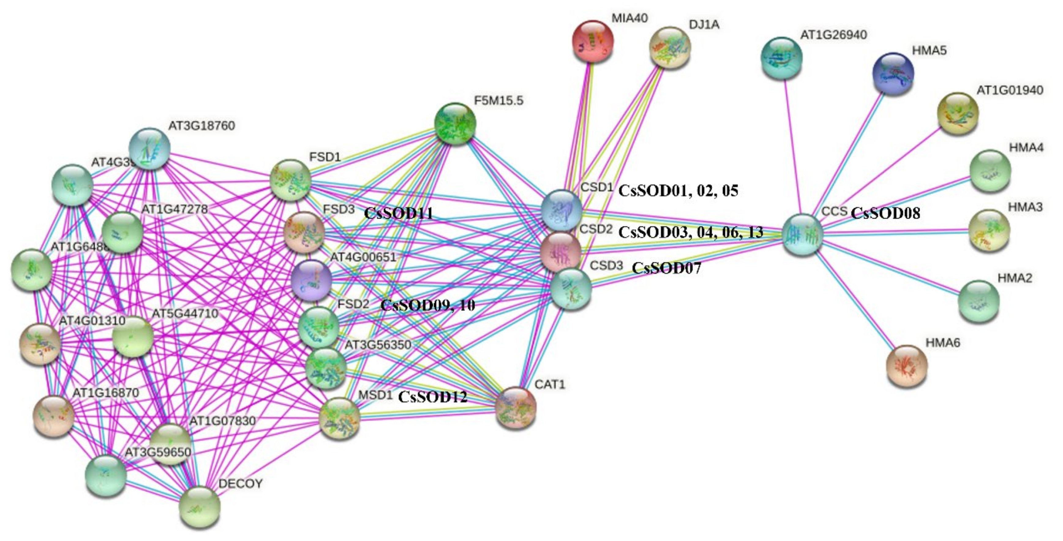 Agriculture 12 01254 g007 Agriculture 12 01254 g007