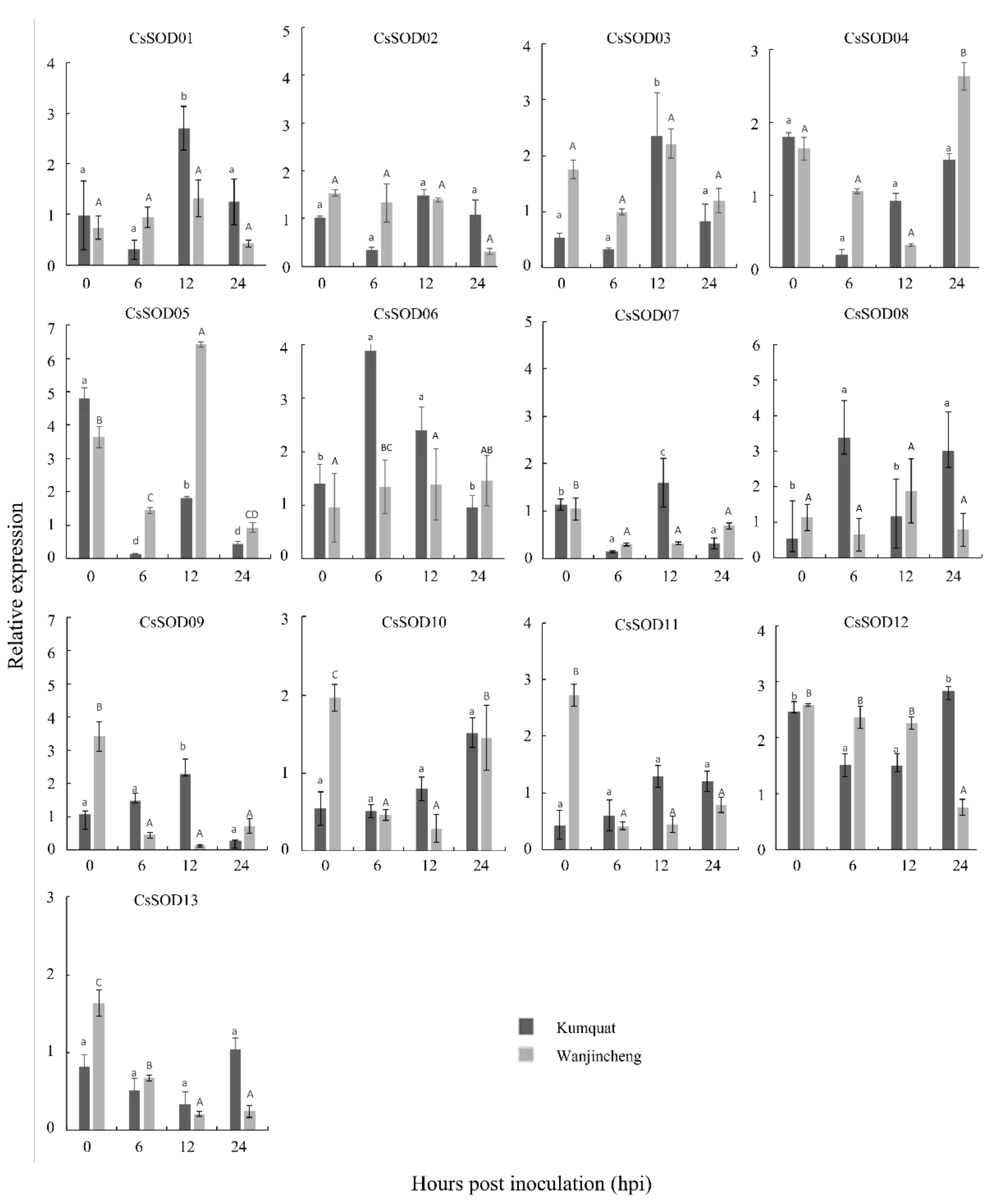 Agriculture 12 01254 g008 Agriculture 12 01254 g008