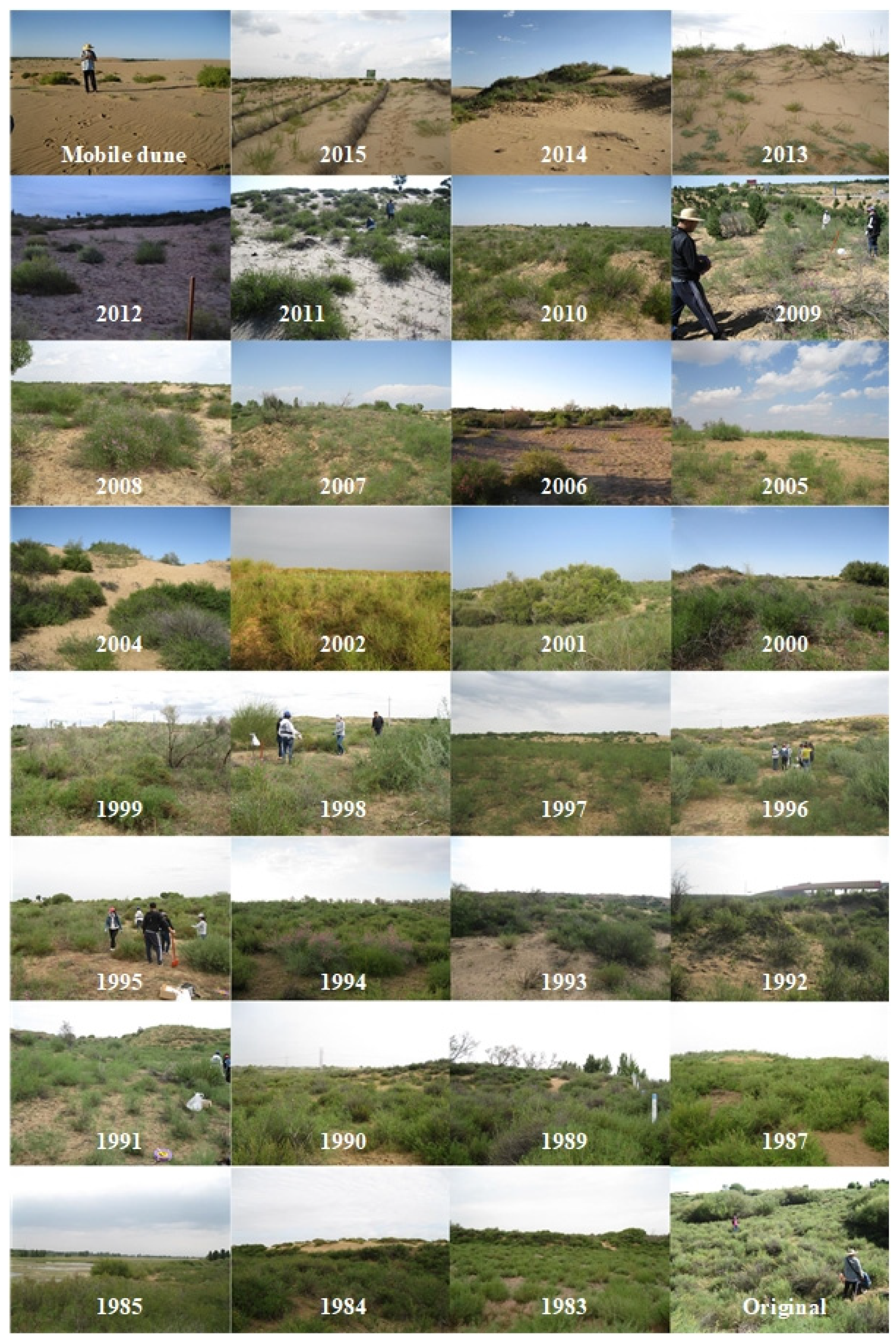 Agriculture 12 01255 g002 Agriculture 12 01255 g002