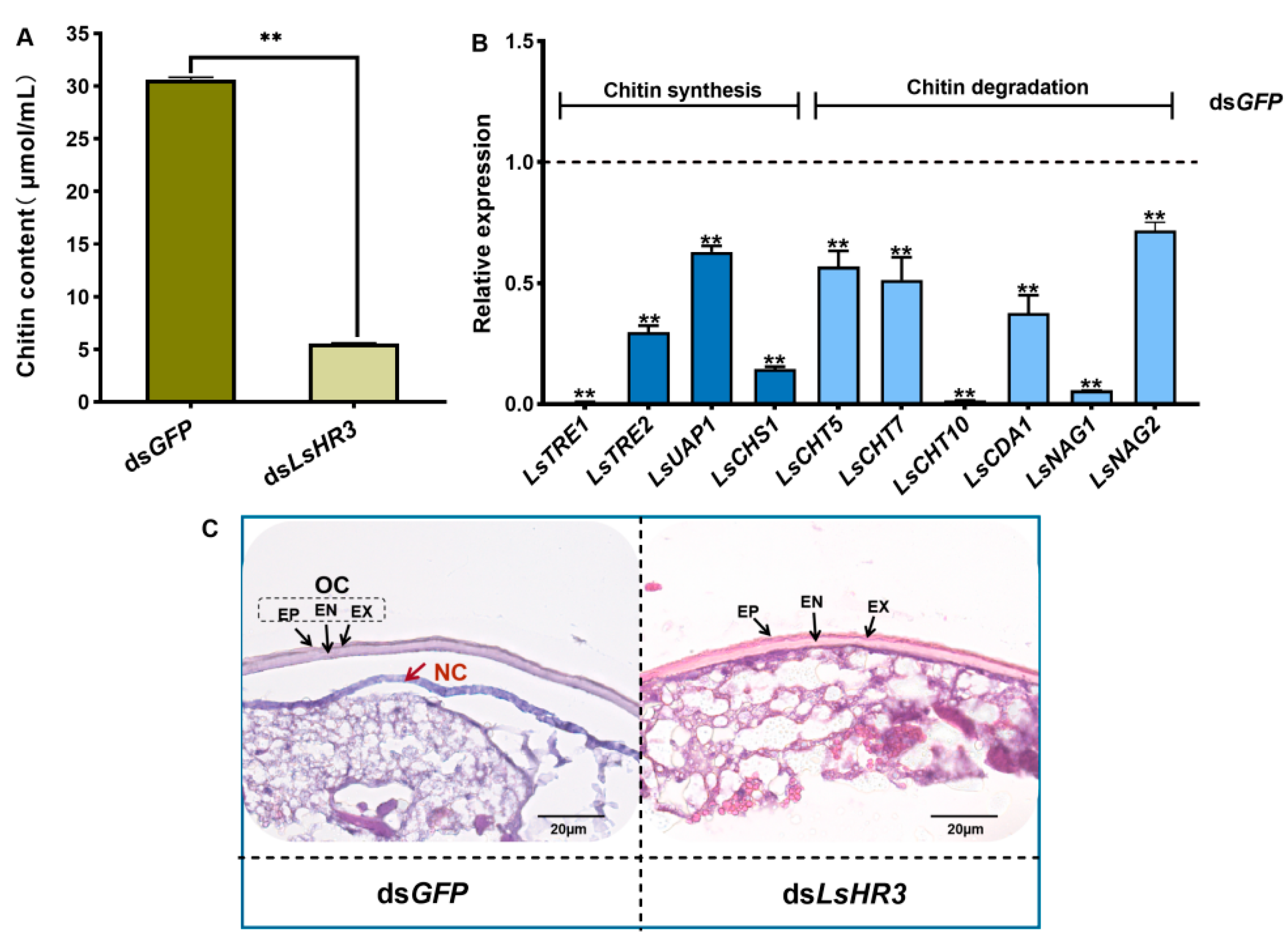 Agriculture 12 01257 g006