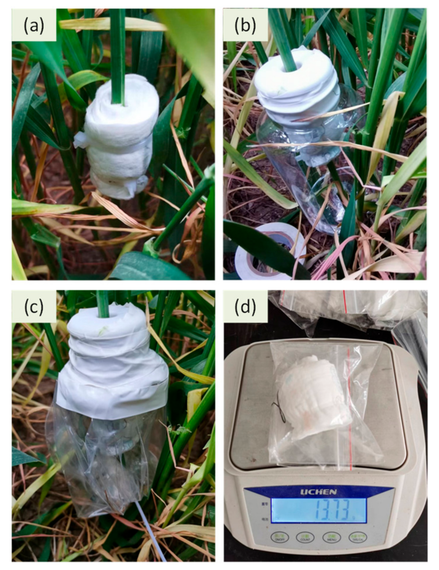 Agriculture 12 01265 g002