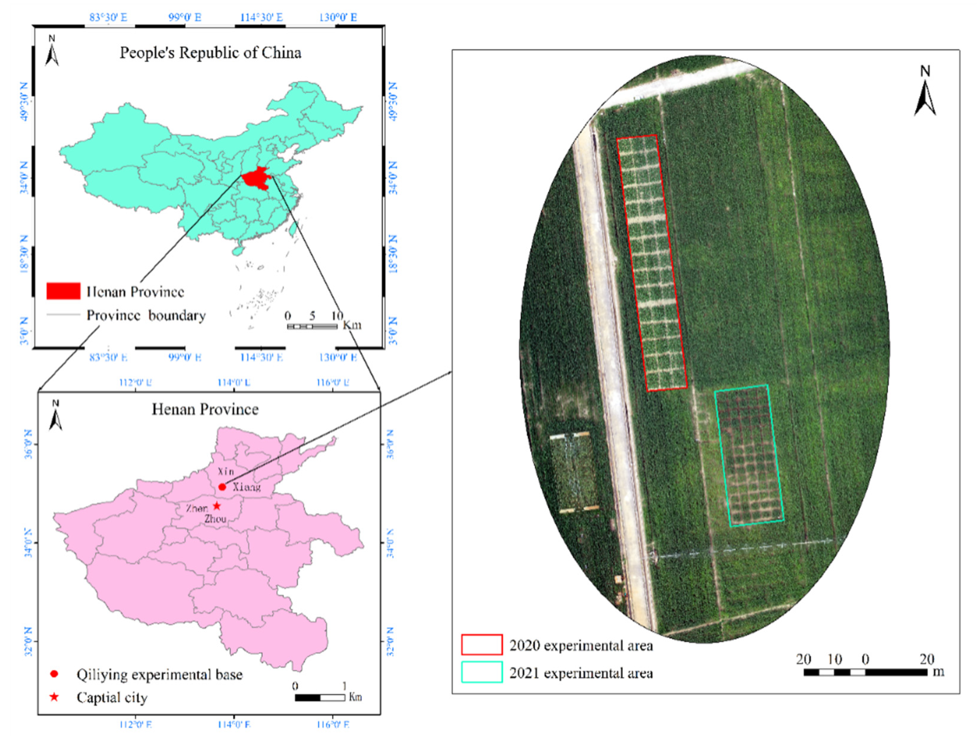 Agriculture 12 01267 g001 550