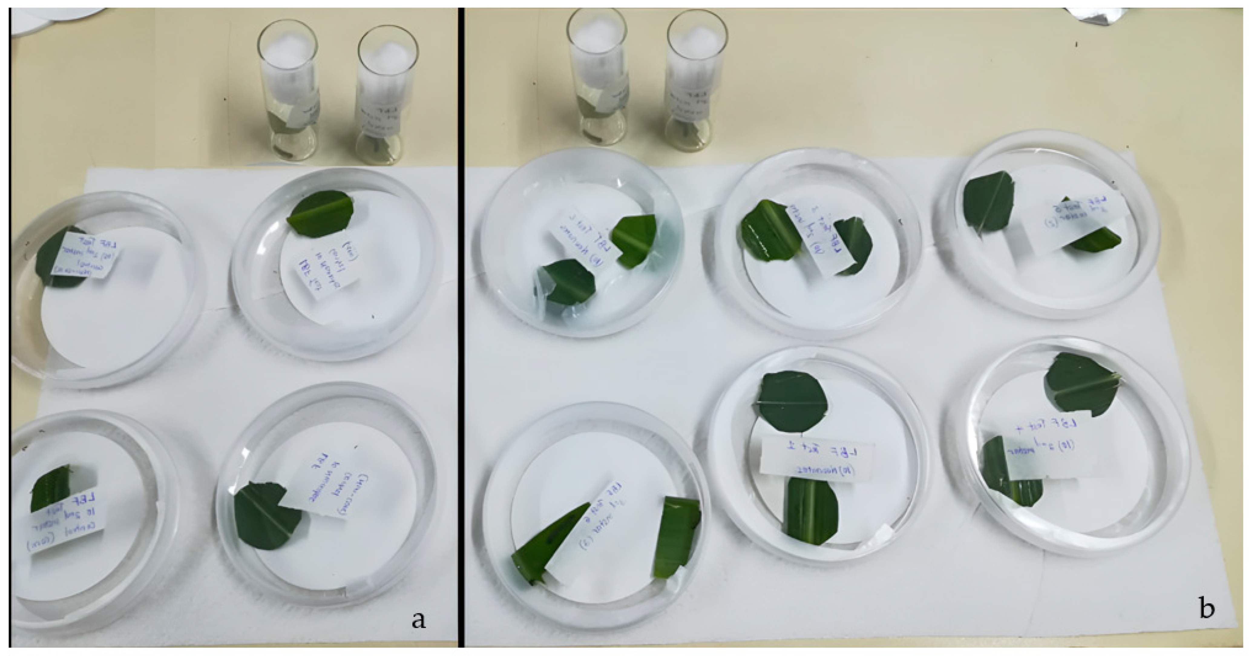 Agriculture 12 01282 g001