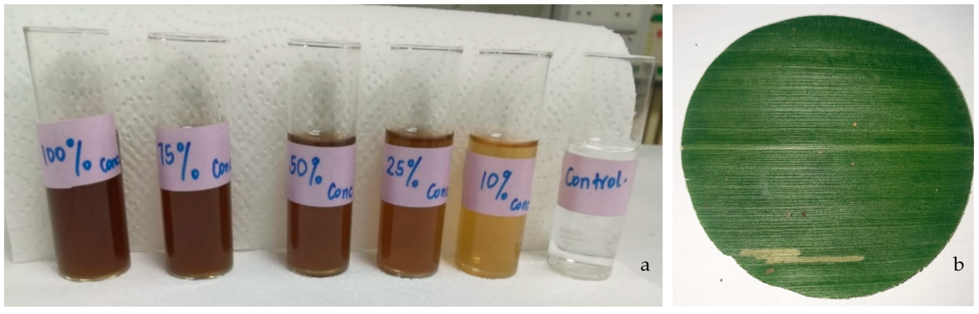 Agriculture 12 01282 g002