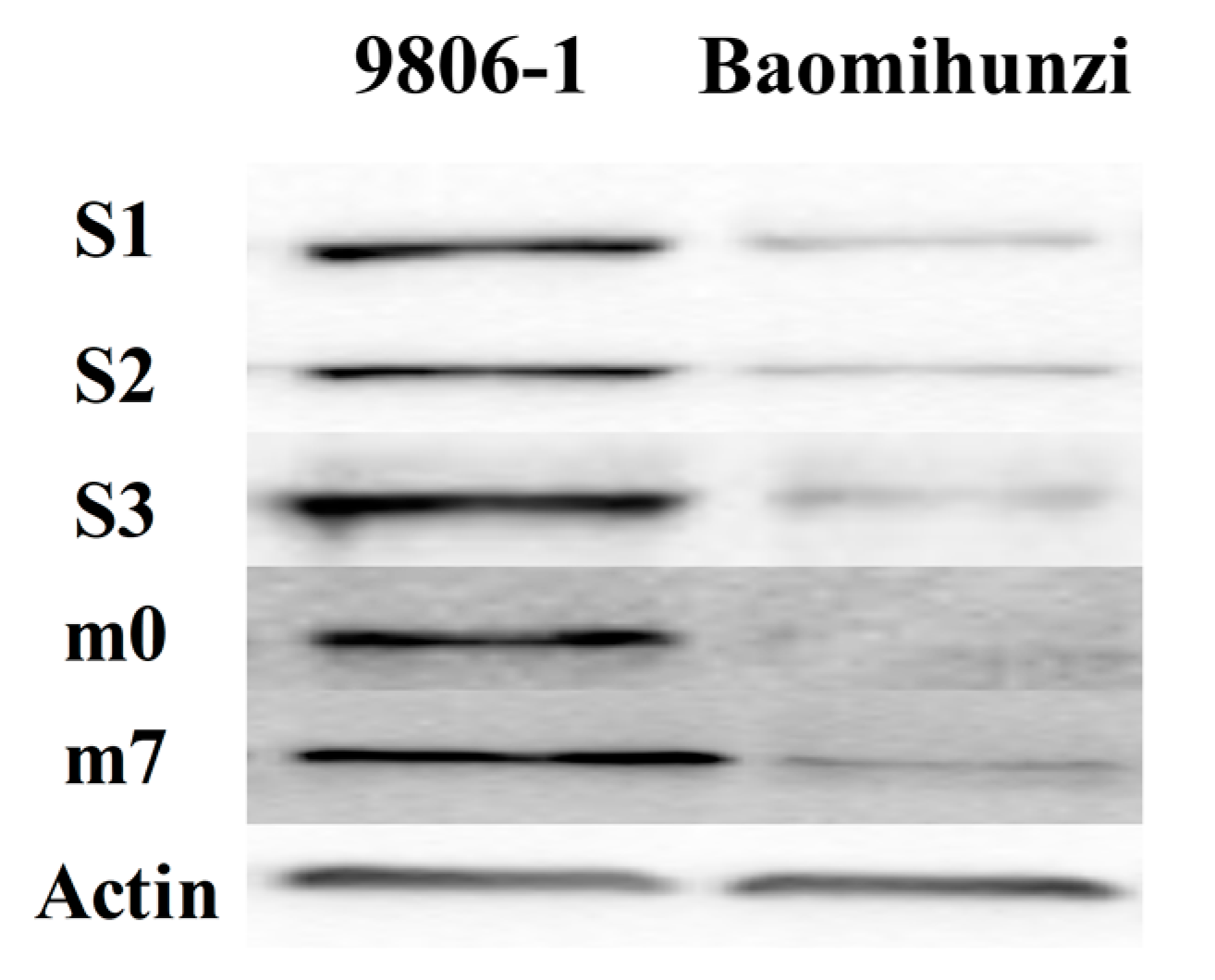 Agriculture 12 01283 g002
