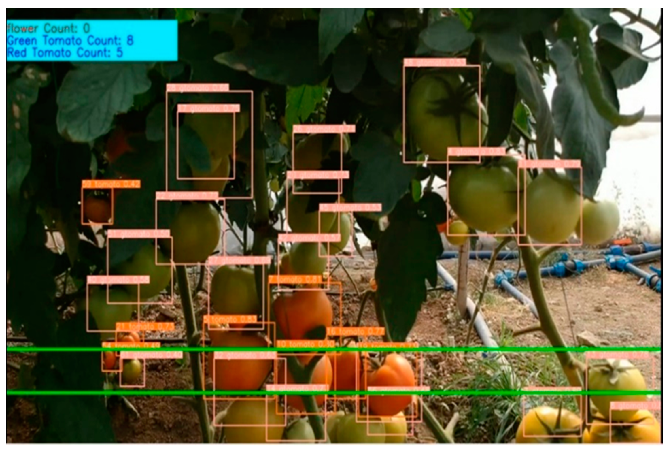 Agriculture 12 01290 g012 550