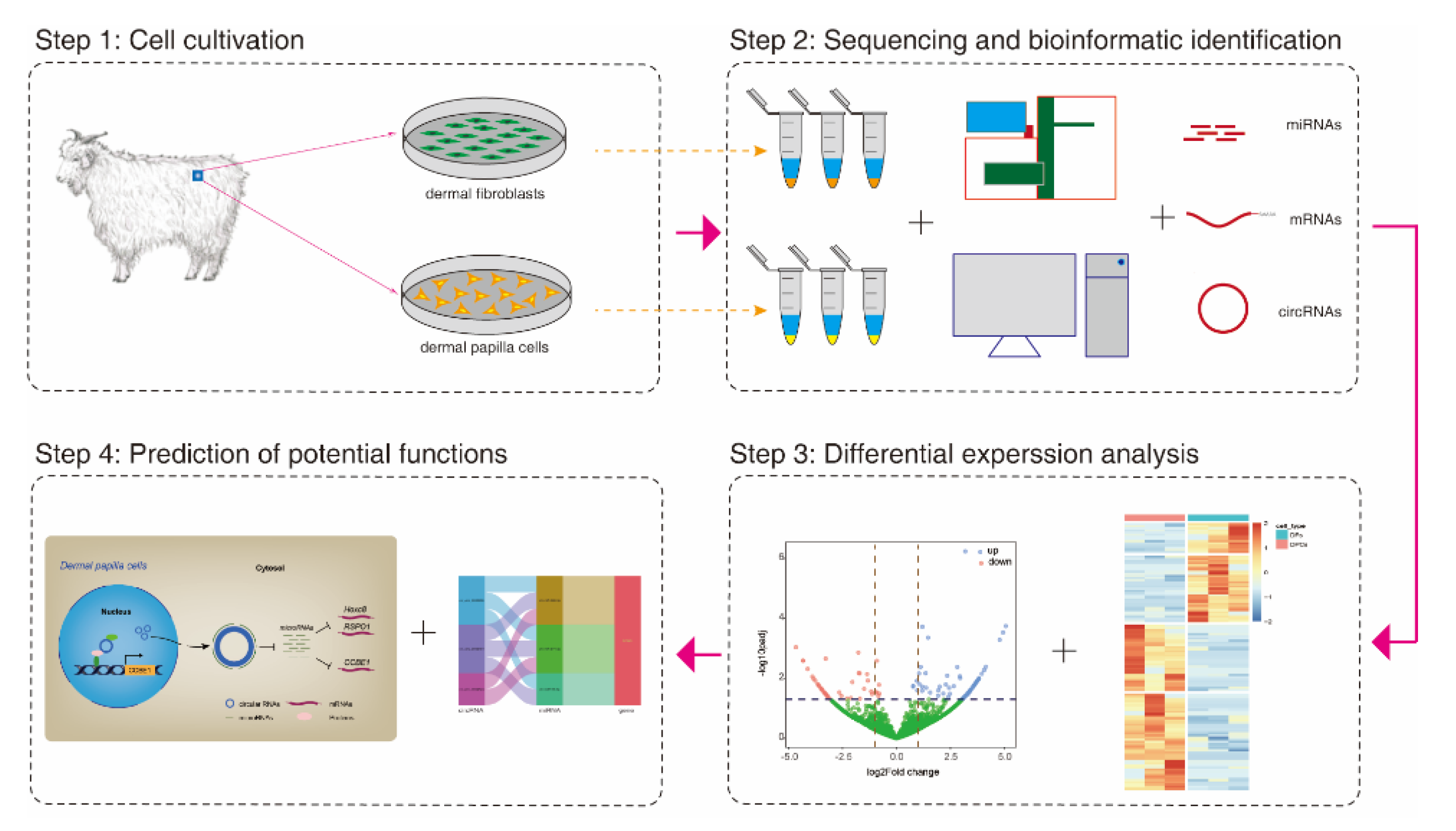 Agriculture 12 01306 g001