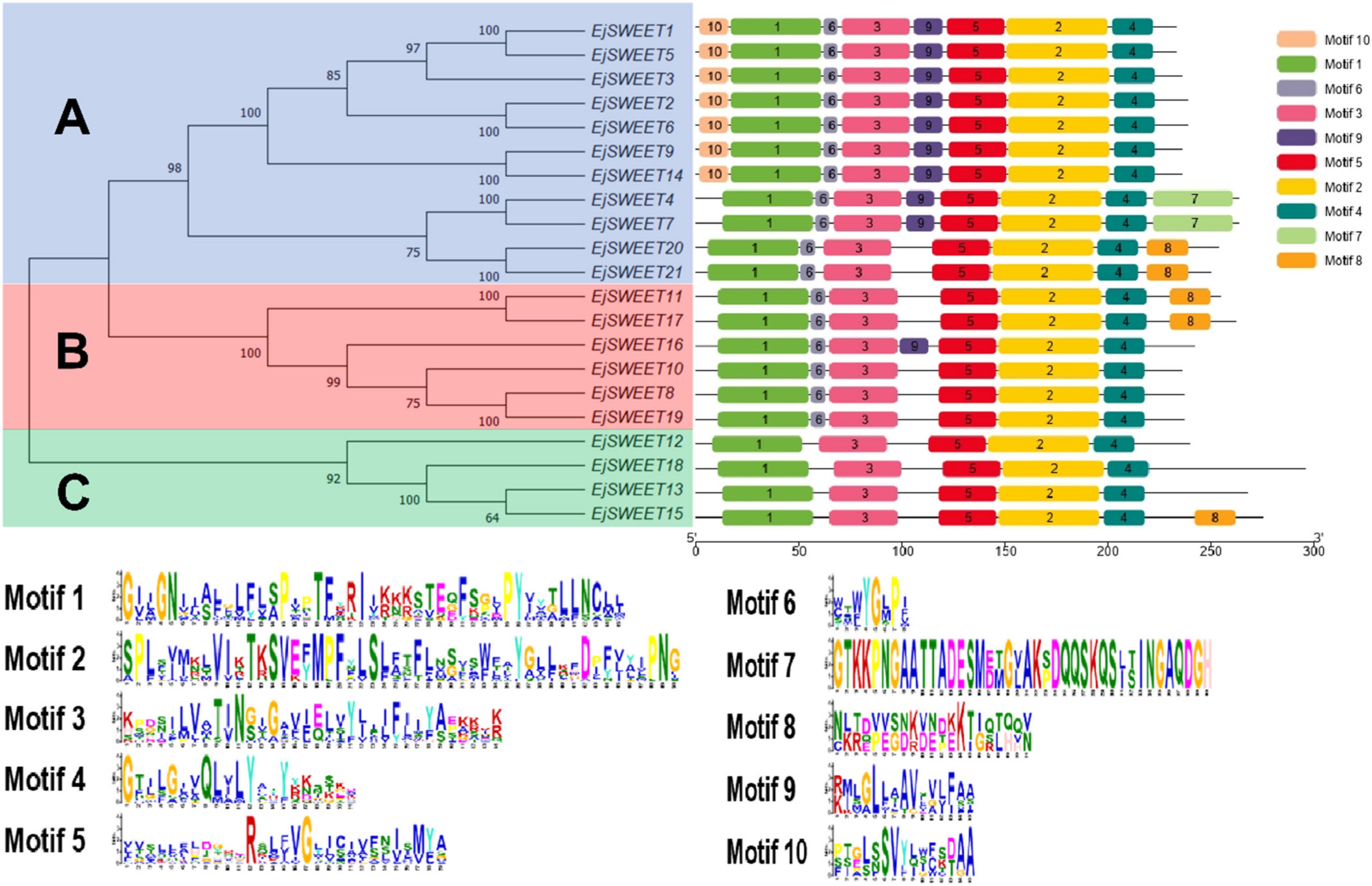 Agriculture 12 01312 g002