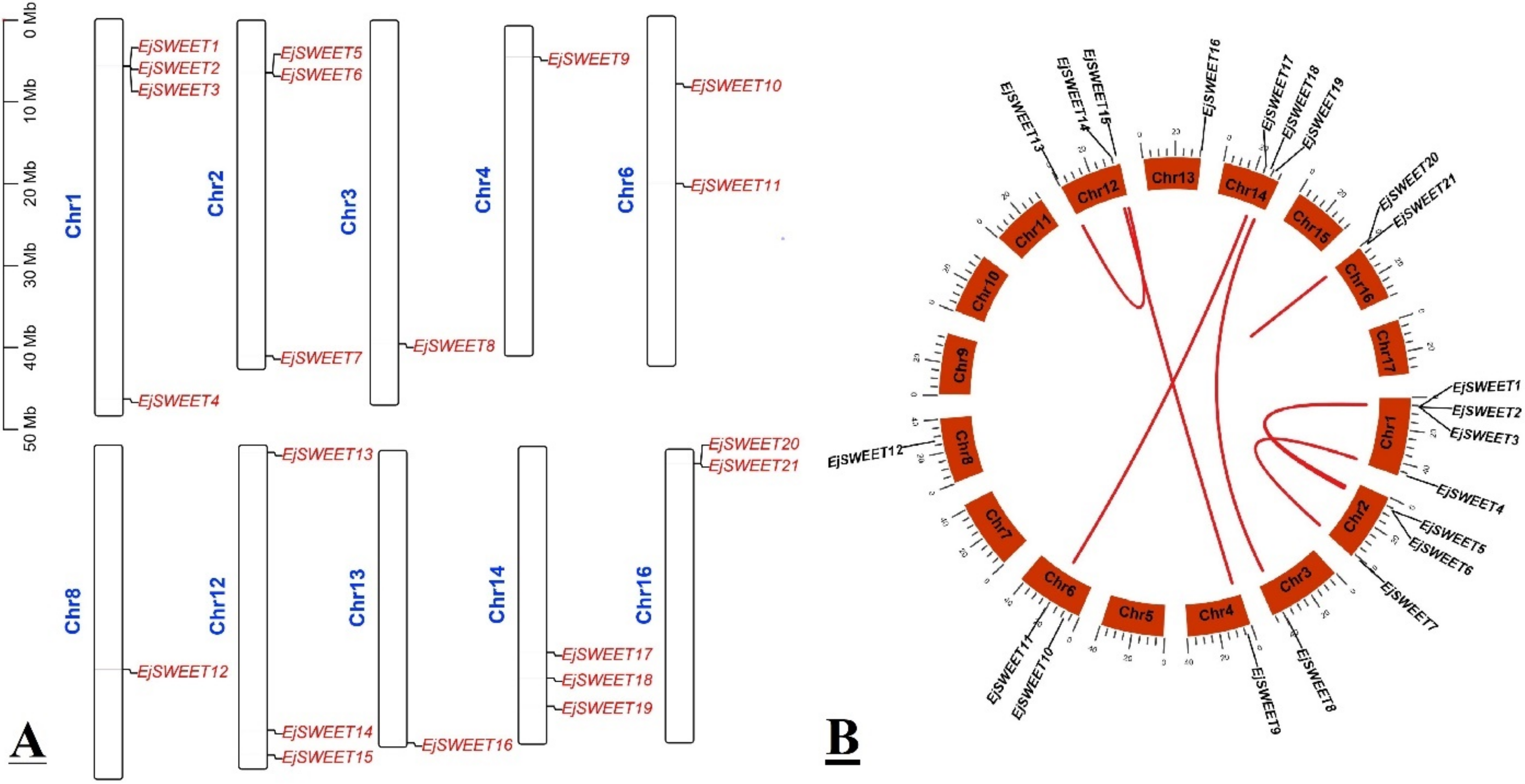 Agriculture 12 01312 g003