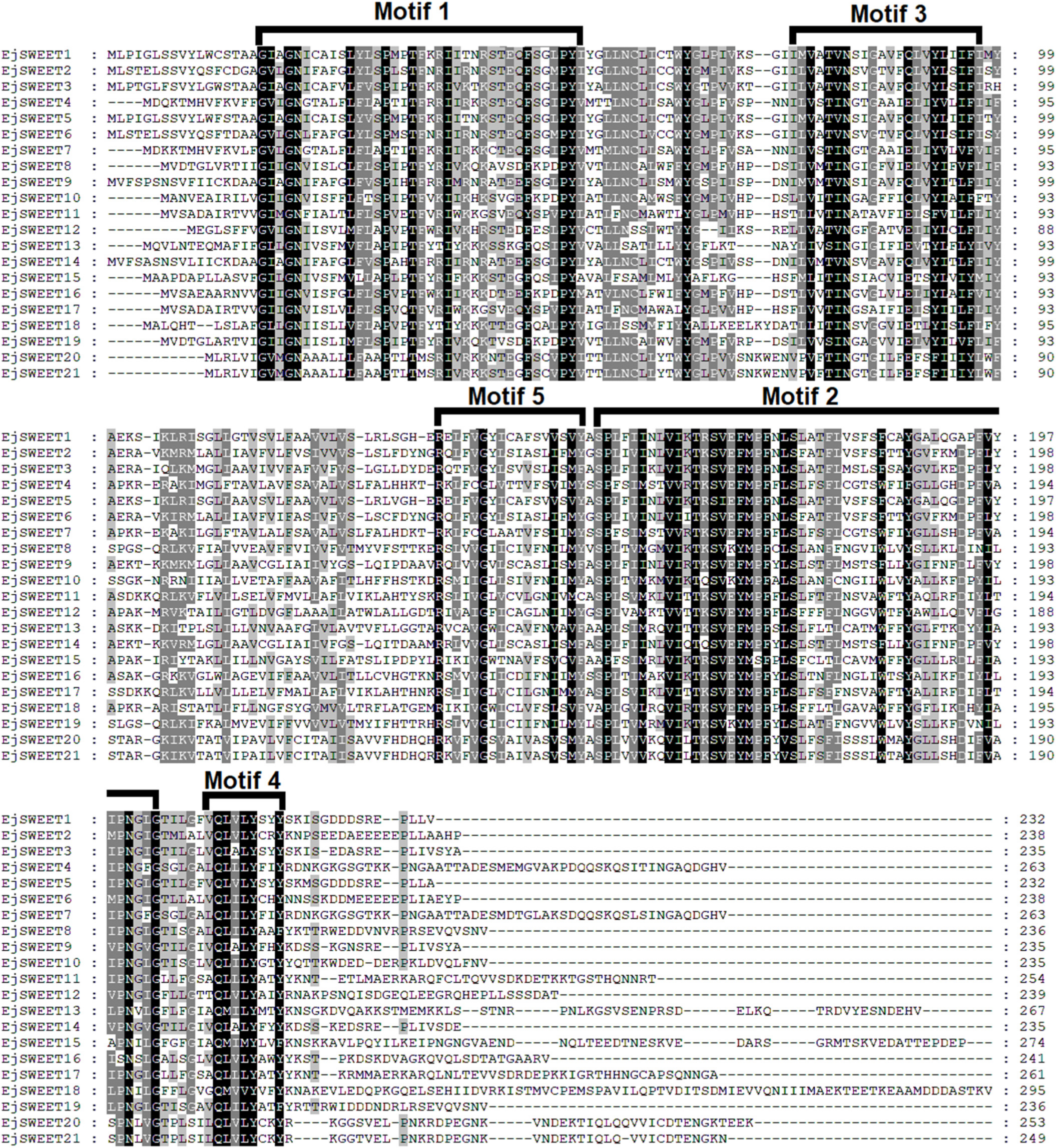 Agriculture 12 01312 g005