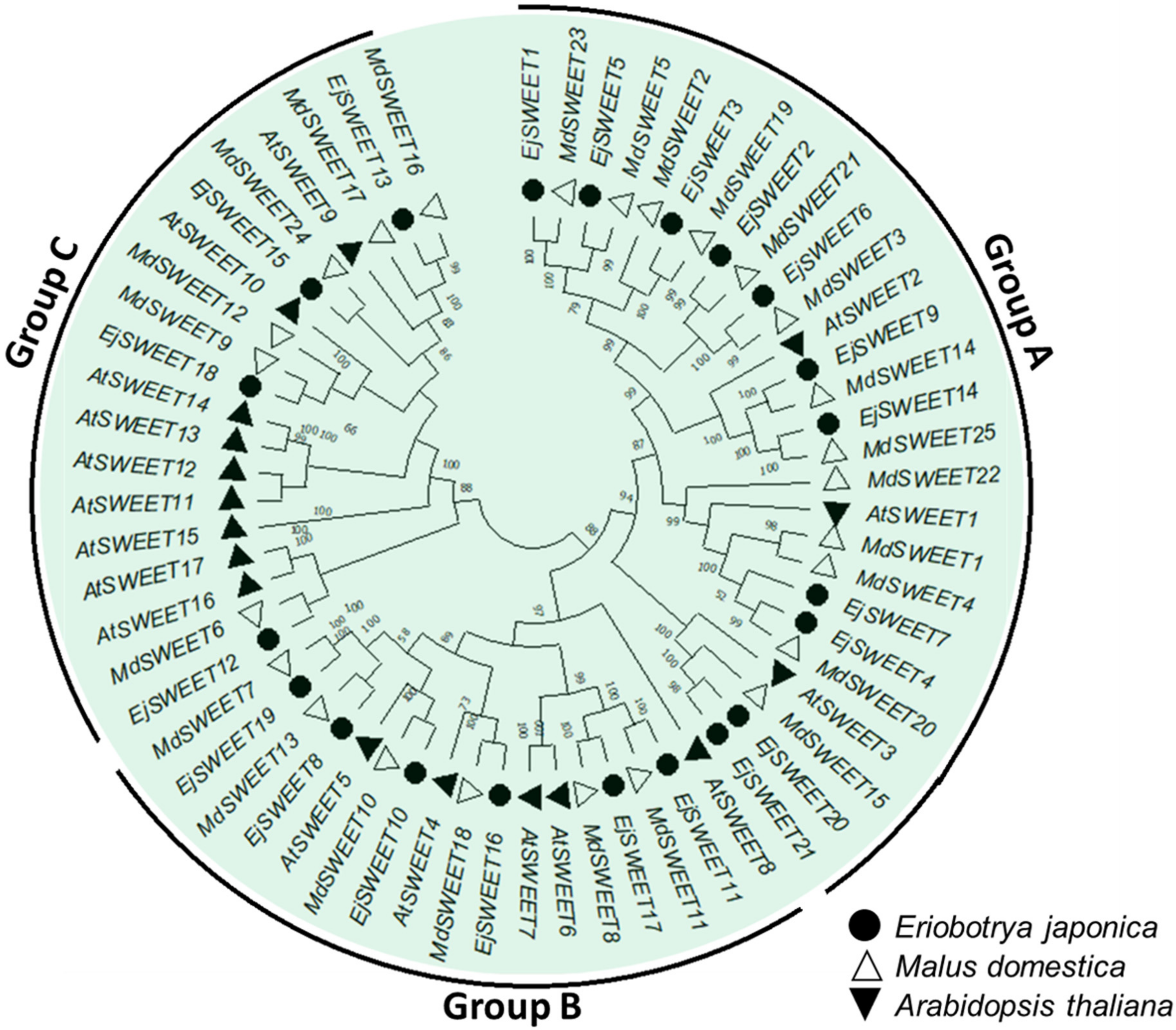 Agriculture 12 01312 g006