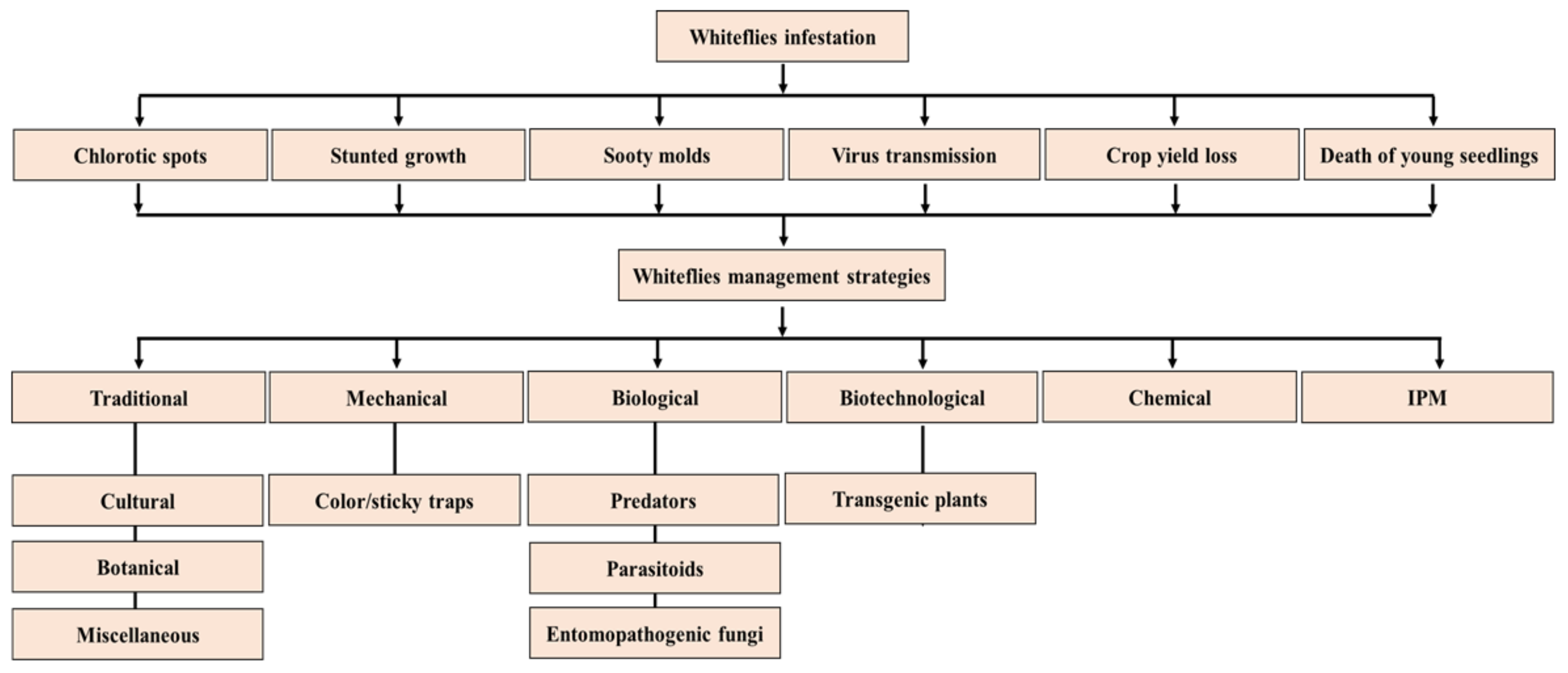 https://www.mdpi.com/agriculture/agriculture-12-01317/article_deploy/html/images/agriculture-12-01317-g002.png