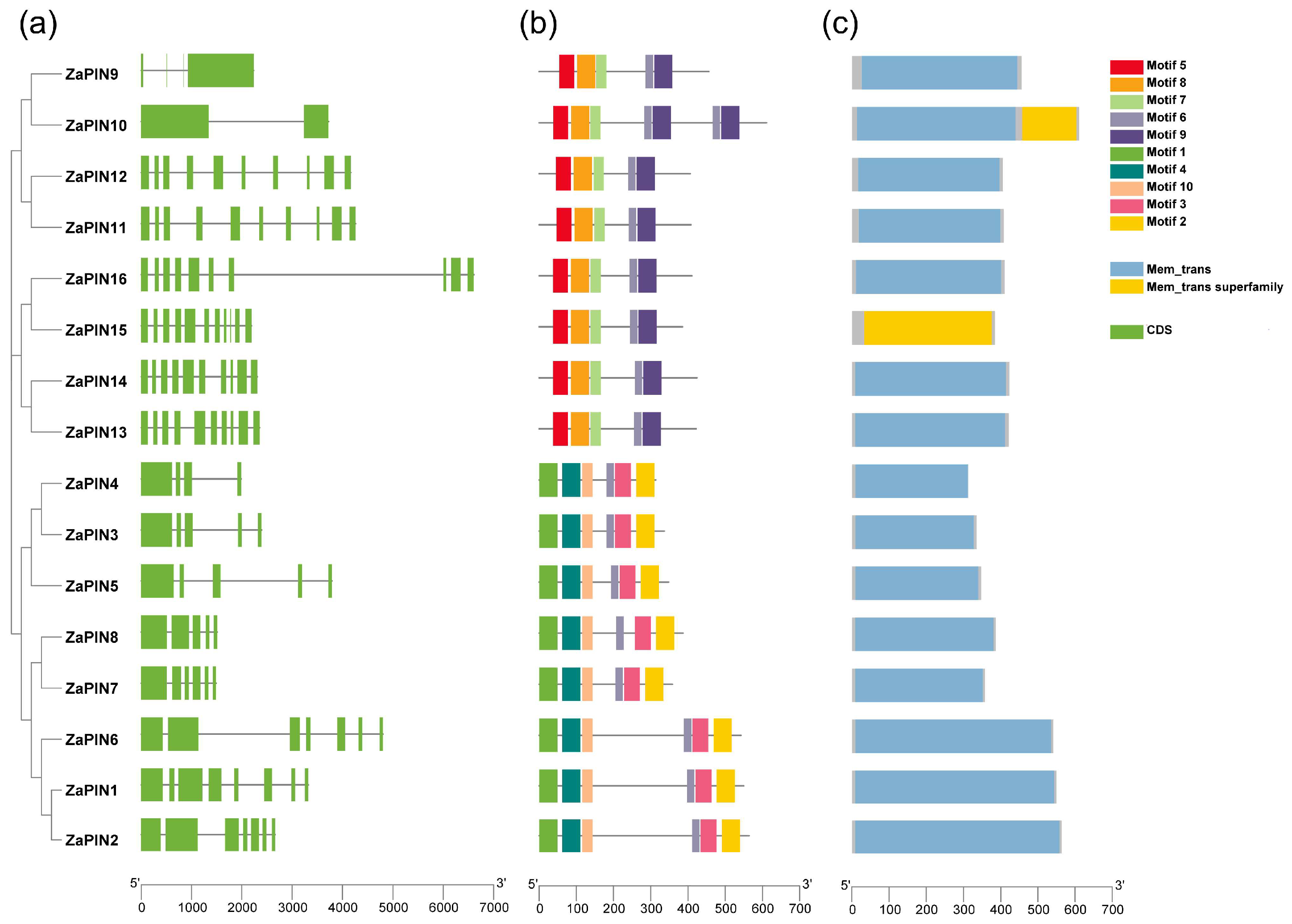 Agriculture 12 01318 g004