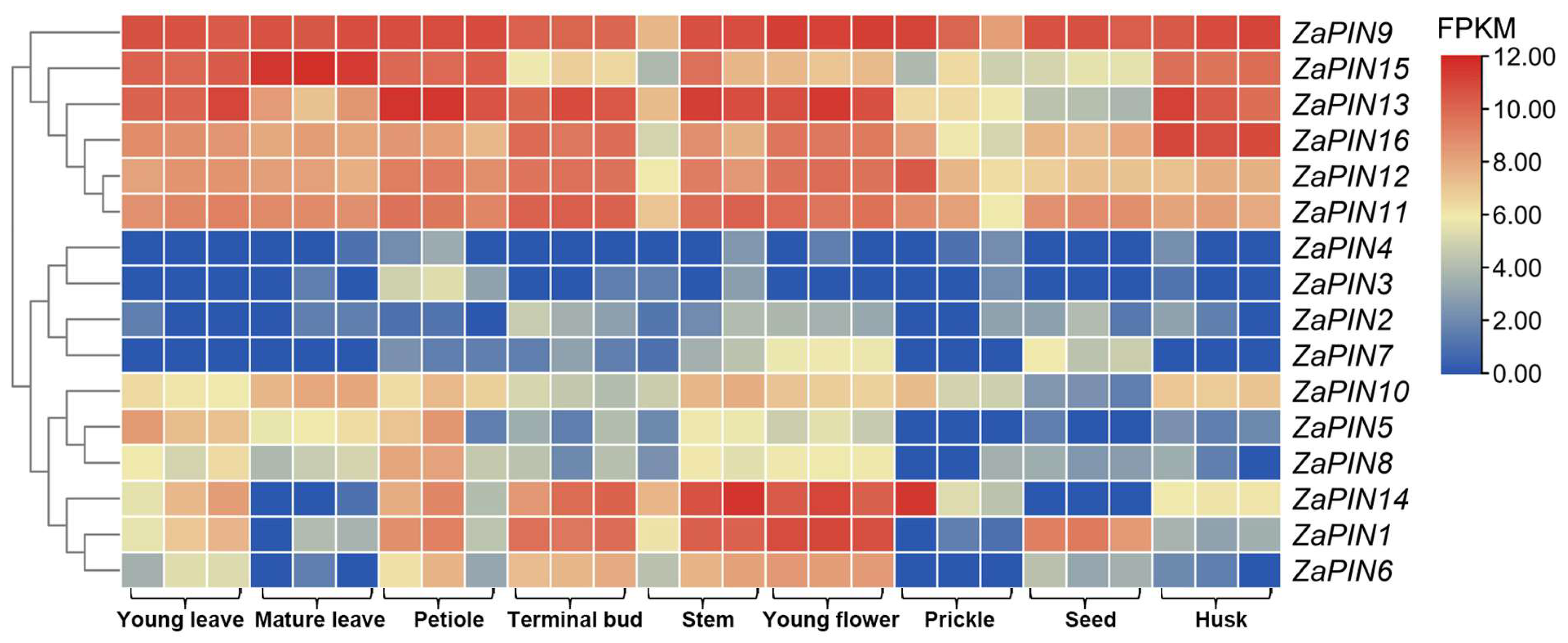 Agriculture 12 01318 g008