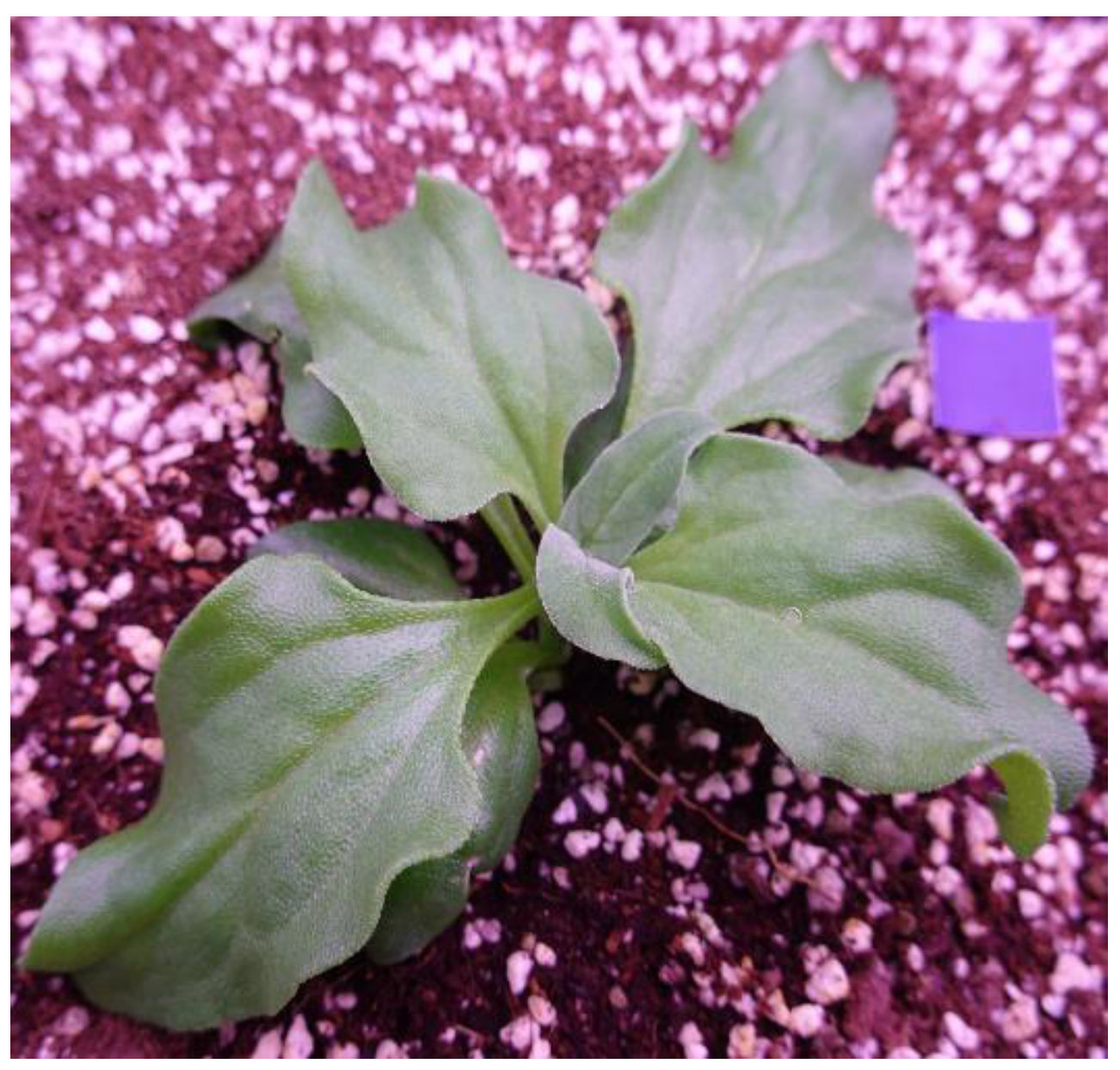 Agriculture 12 01321 g003