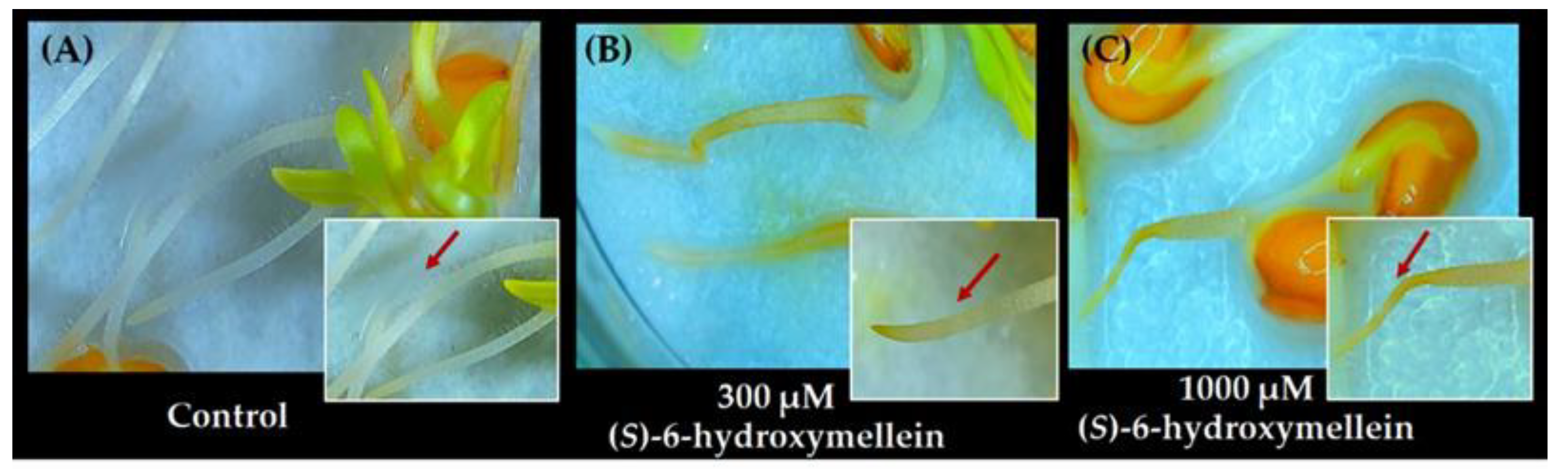 Agriculture 12 01338 g005