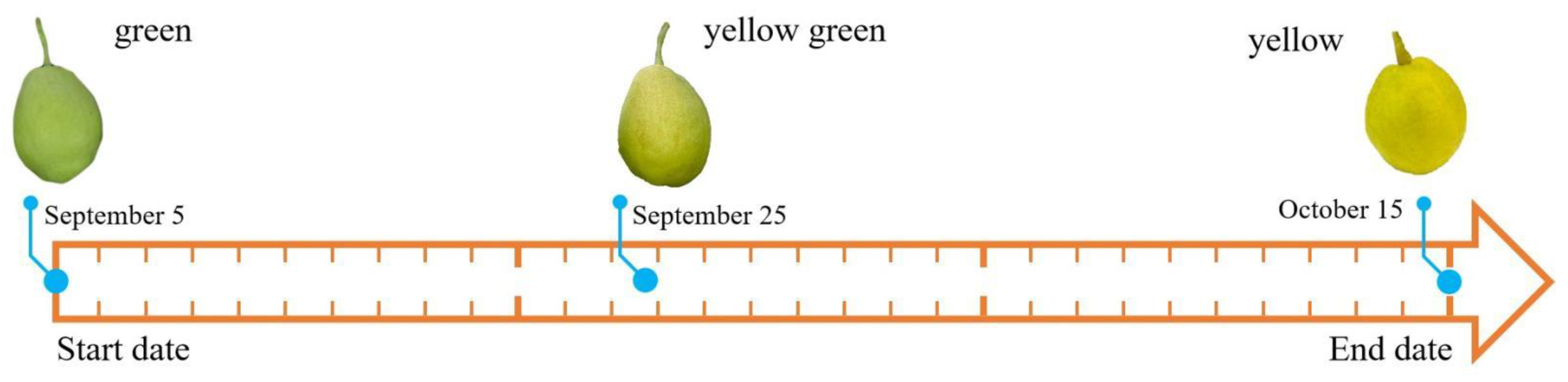 Agriculture 12 01348 g001