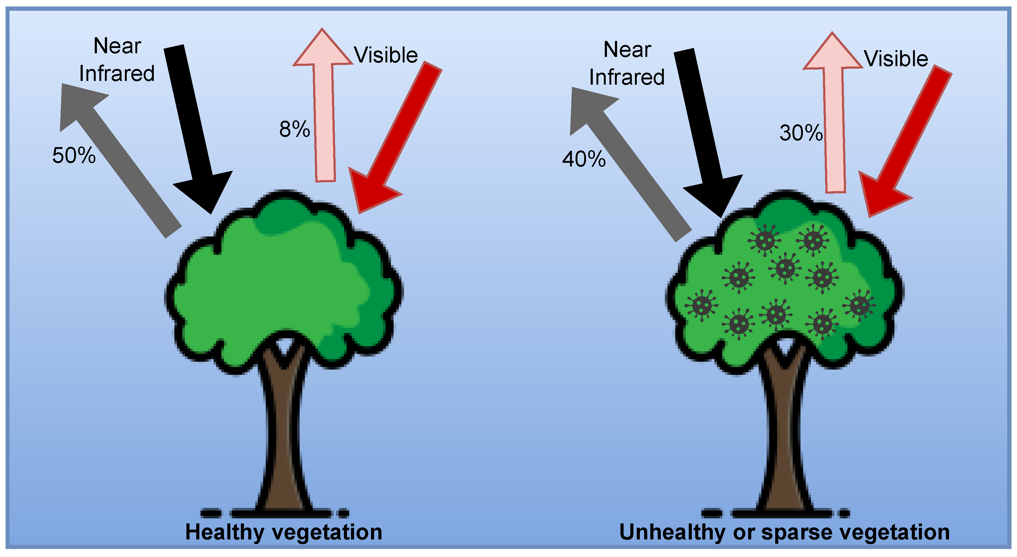 Agriculture 12 01350 g002