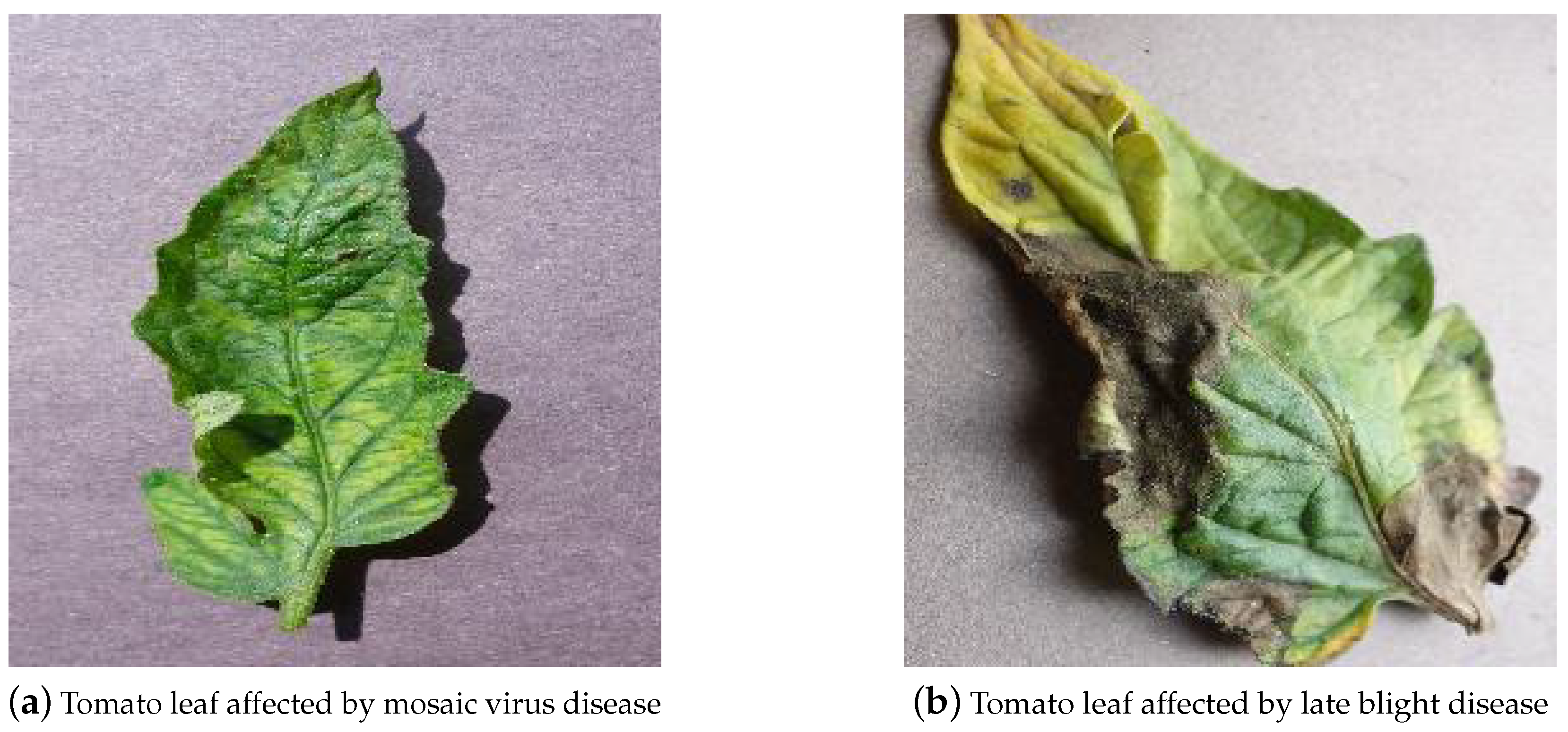 Agriculture 12 01350 g003