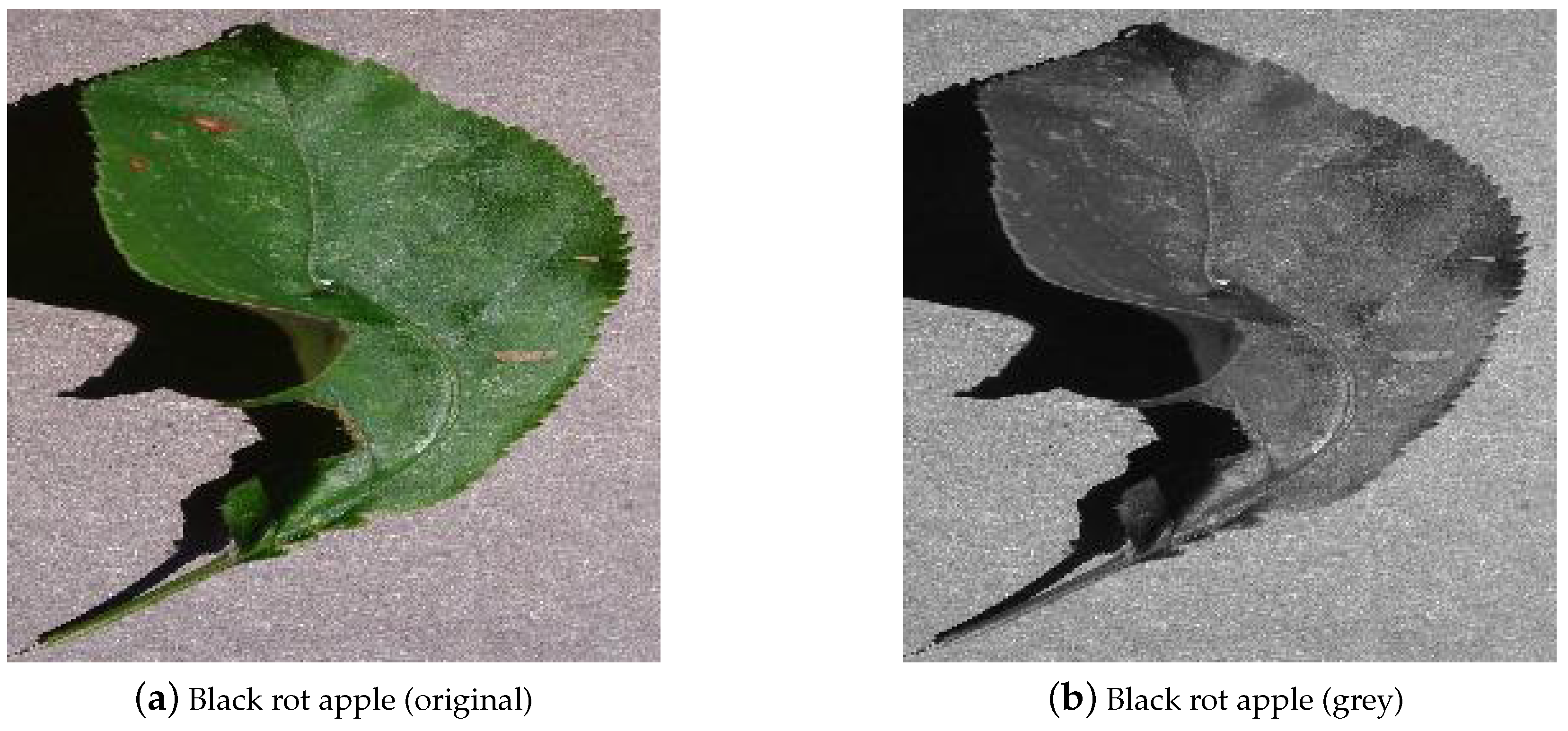 Agriculture 12 01350 g006