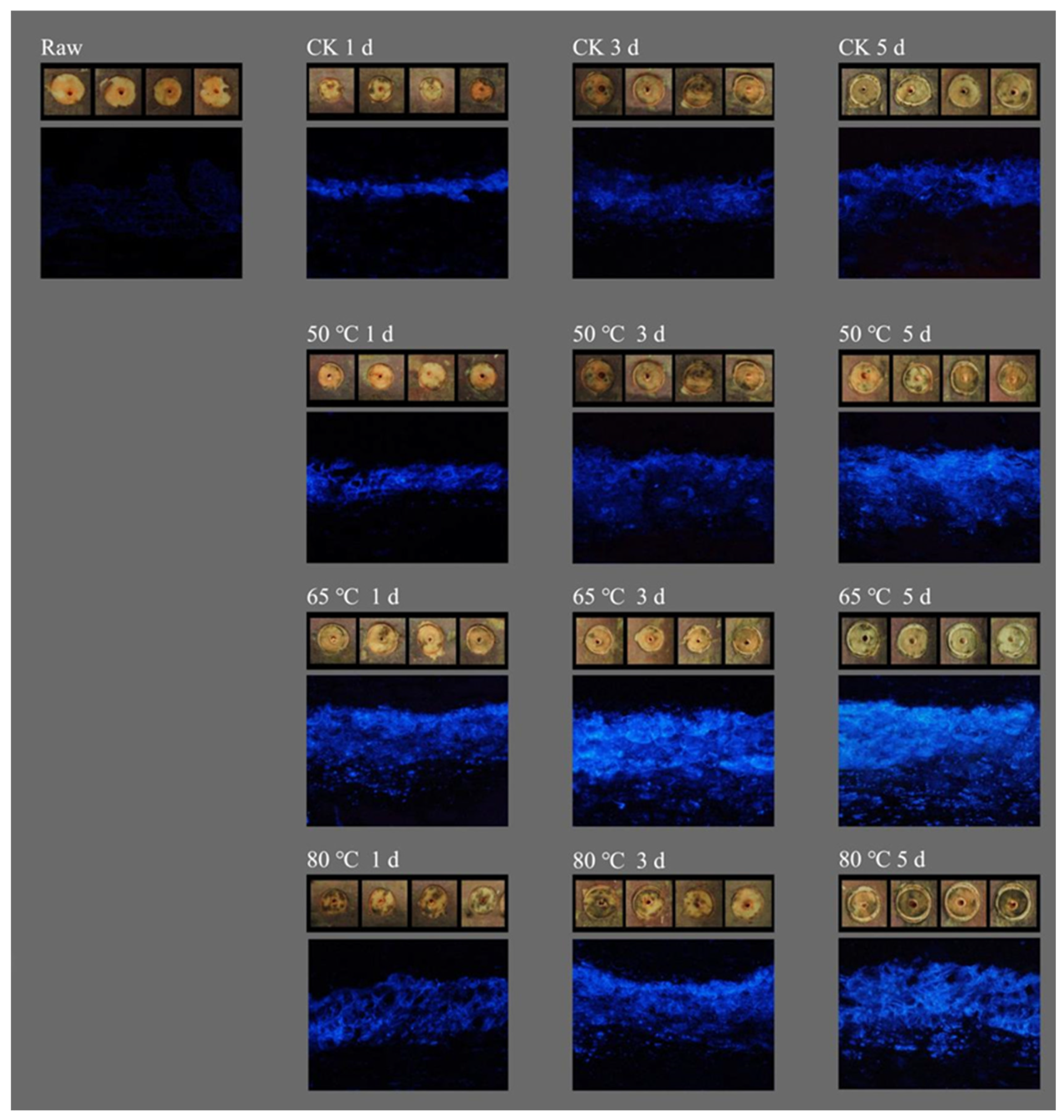 Agriculture 12 01351 g001