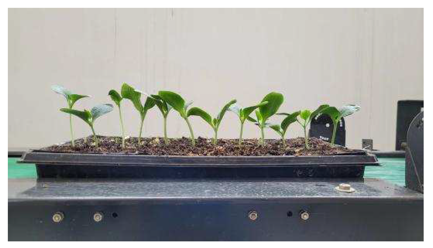 Agriculture 12 01354 g010 550