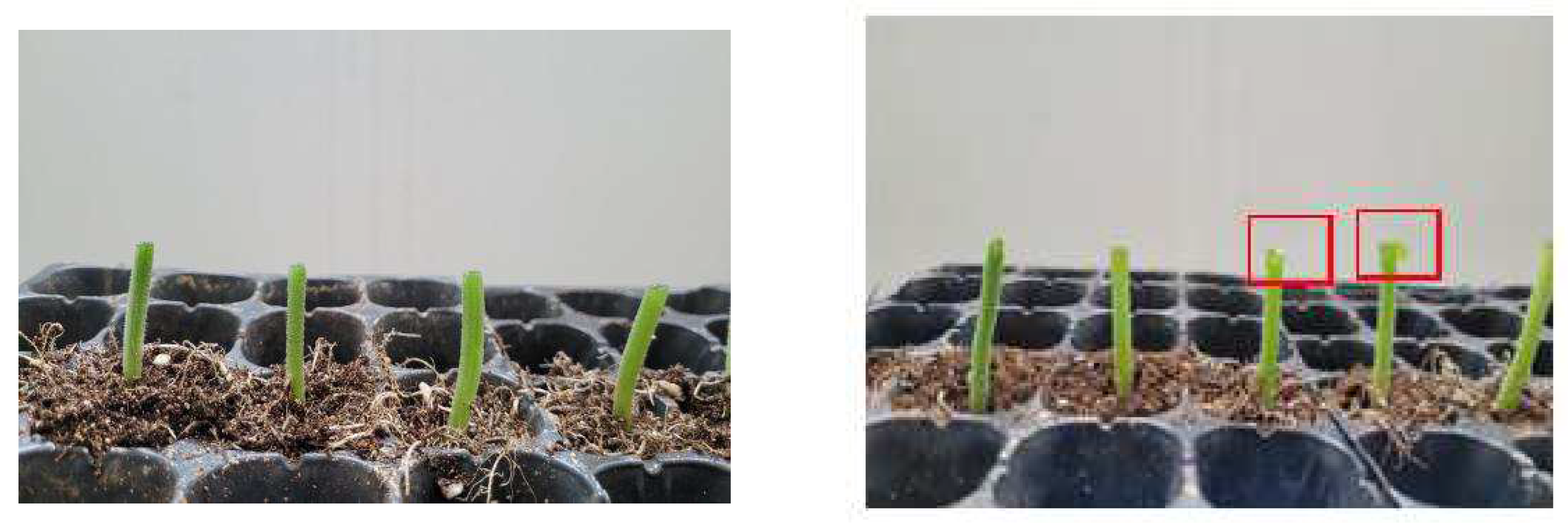 Agriculture 12 01354 g014 550