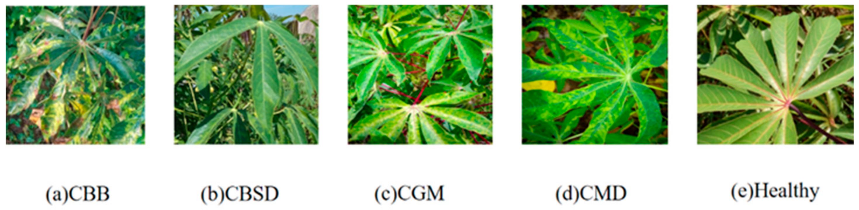 Agriculture 12 01360 g004