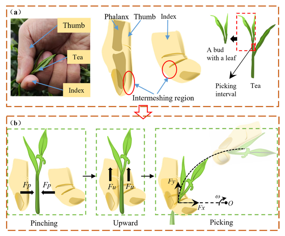 Agriculture 12 01361 g001 550