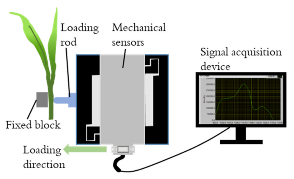 Agriculture 12 01361 g003 550