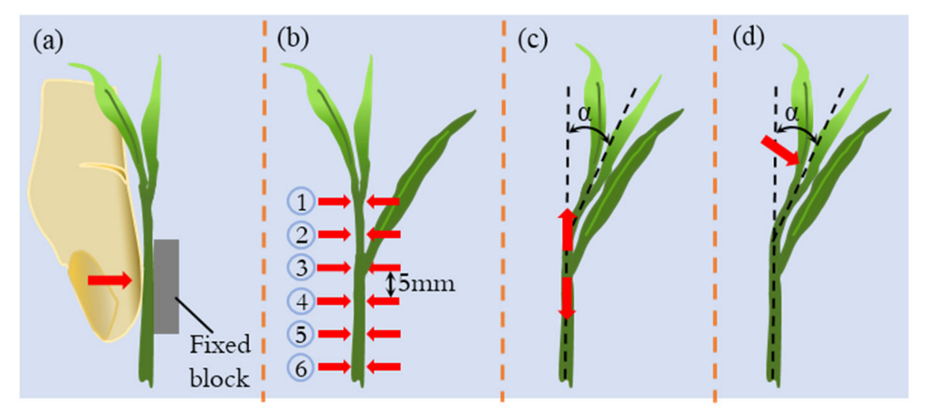Agriculture 12 01361 g004 550