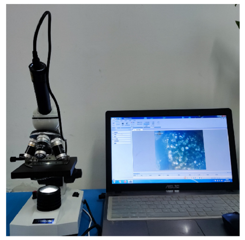 Agriculture 12 01361 g005 550