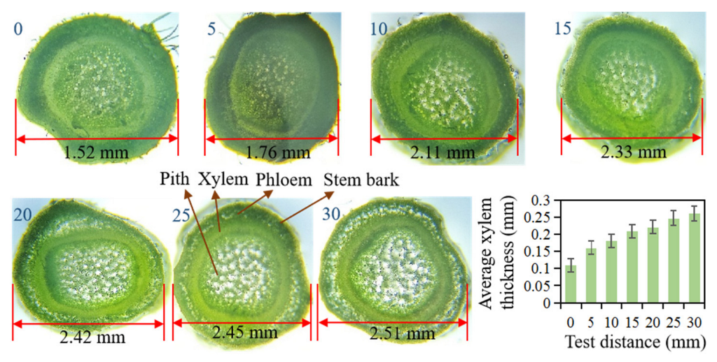 Agriculture 12 01361 g009 550