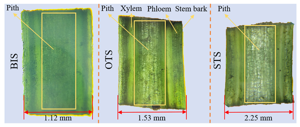 Agriculture 12 01361 g011 550