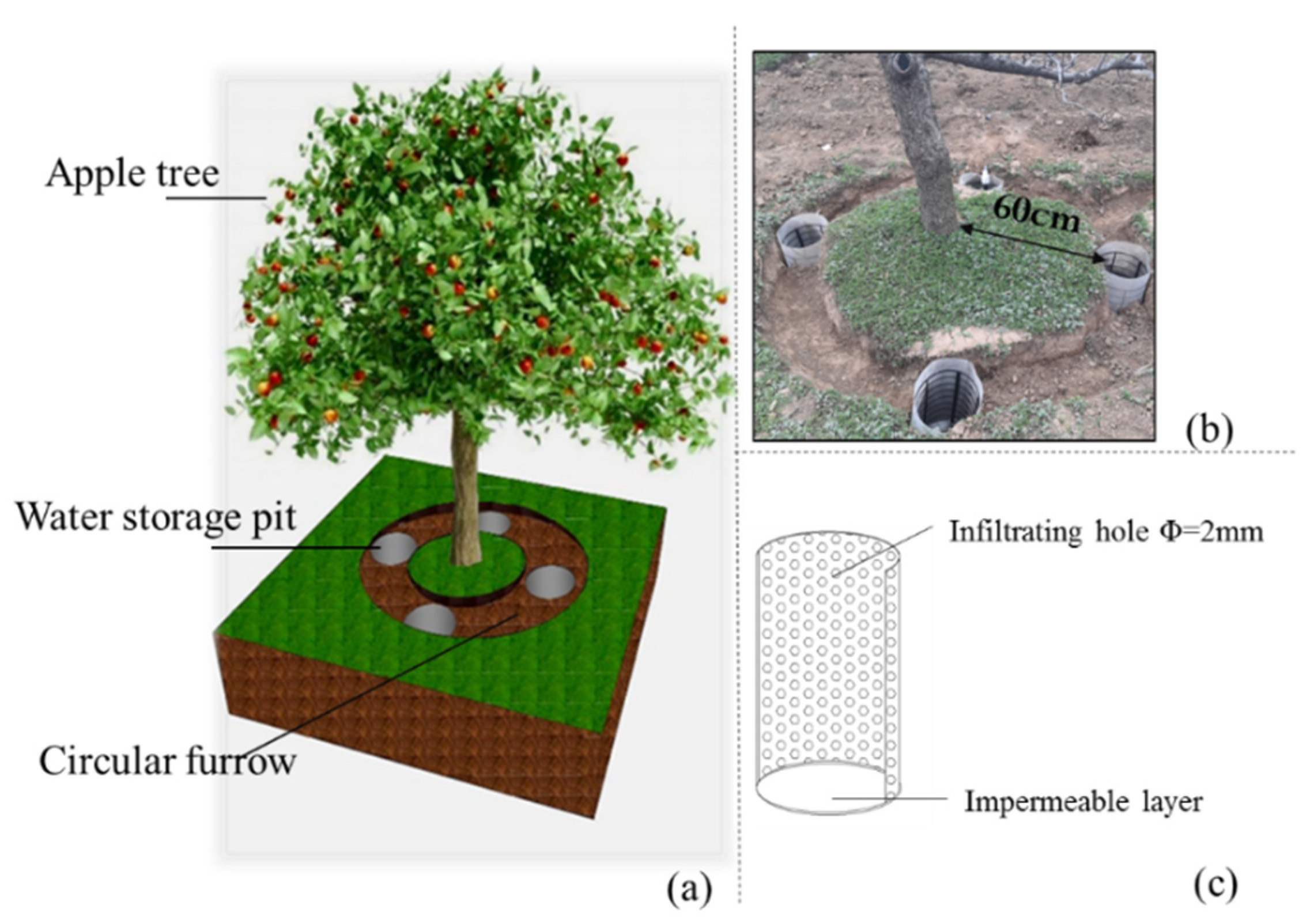 Agriculture 12 01362 g002