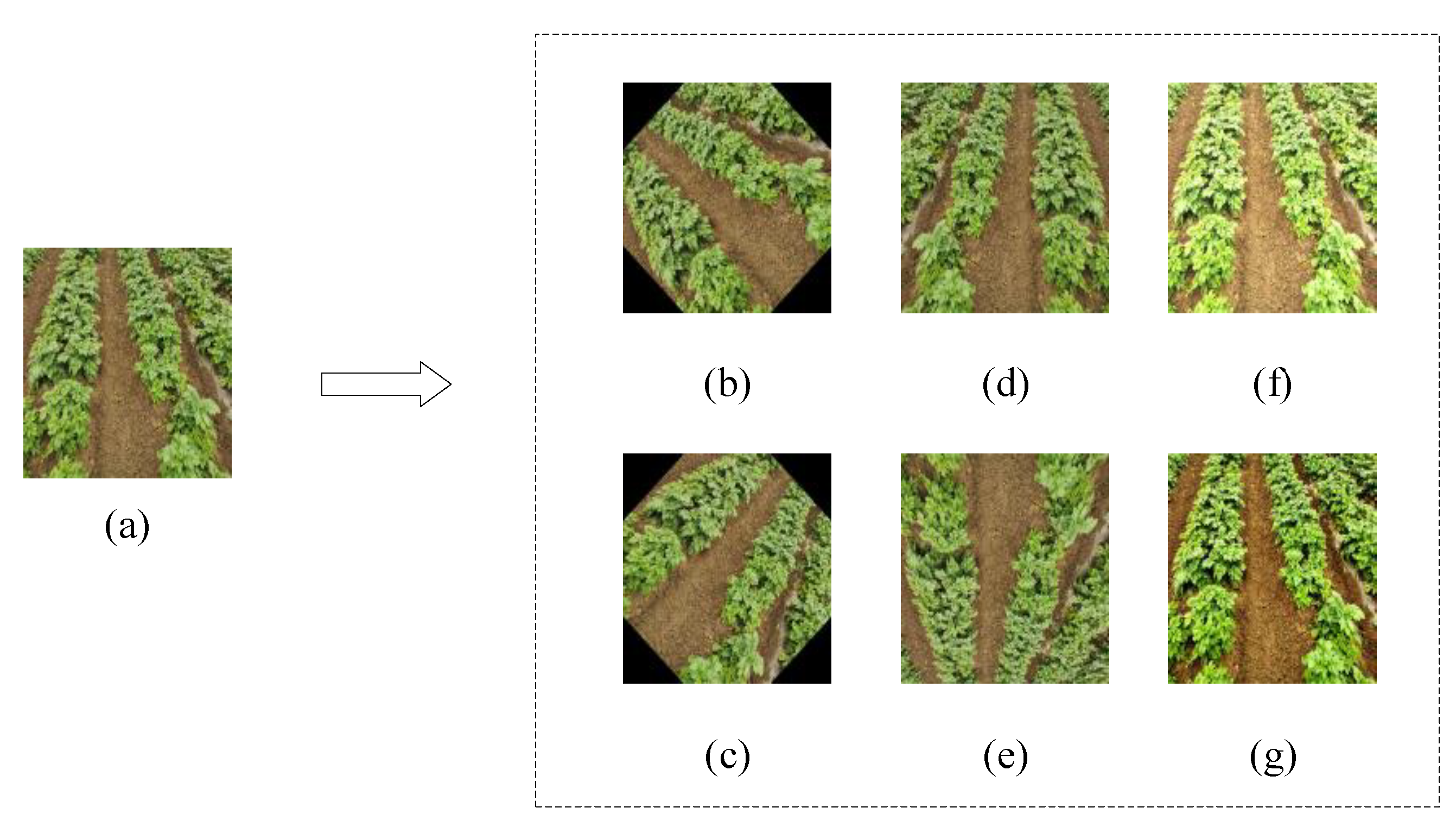 Agriculture | Free Full-Text | Potato Visual Navigation Line Detection ...