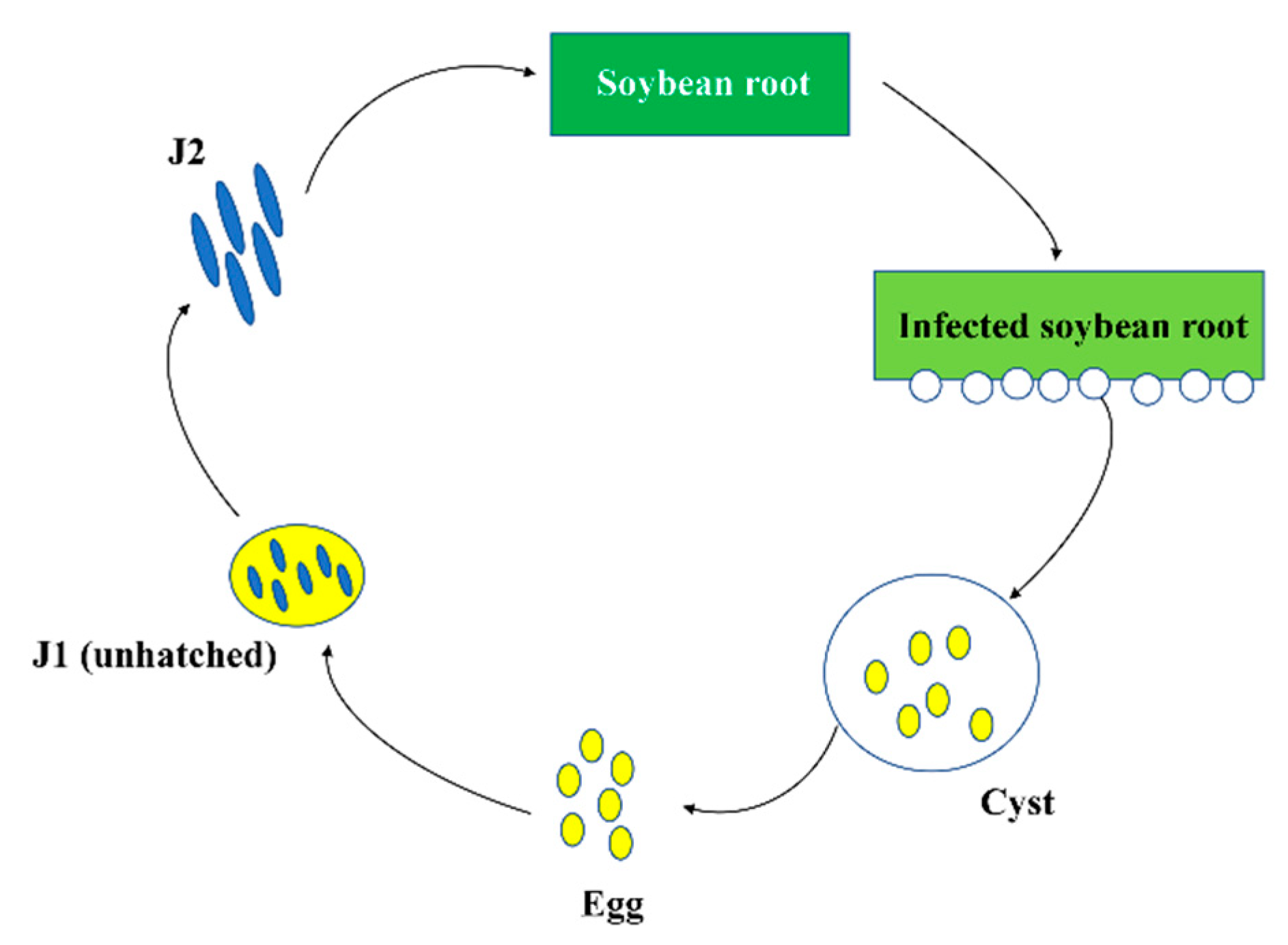 Agriculture 12 01391 g003 550