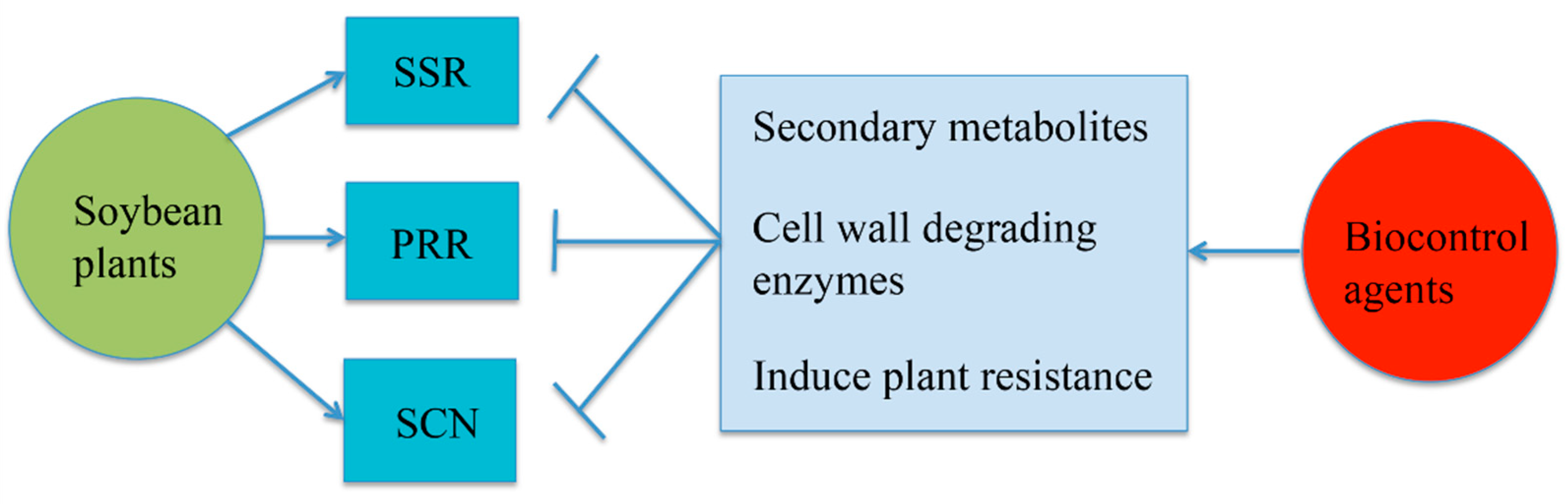 Agriculture 12 01391 g004 550