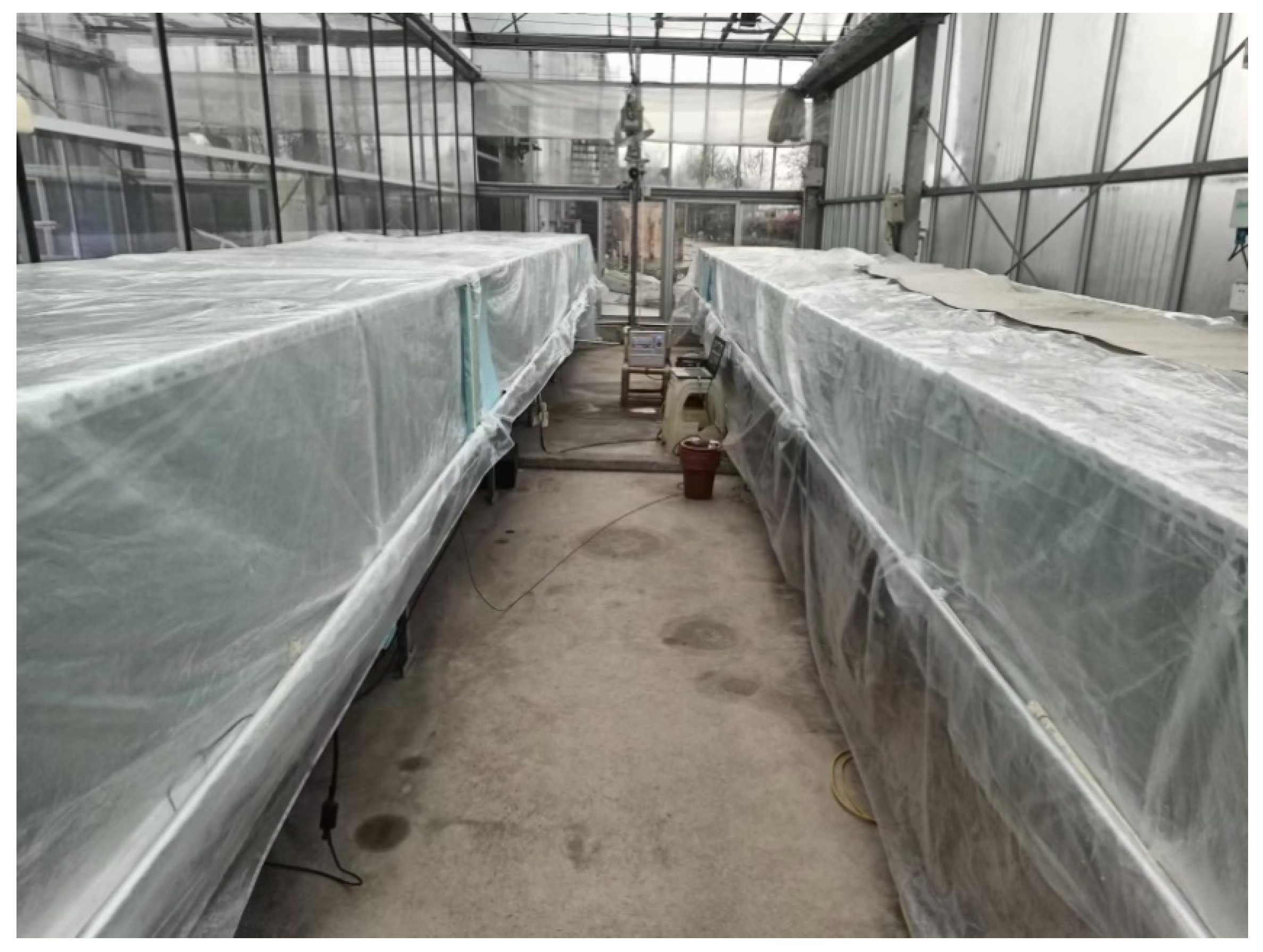 Agriculture 12 01401 g002 550