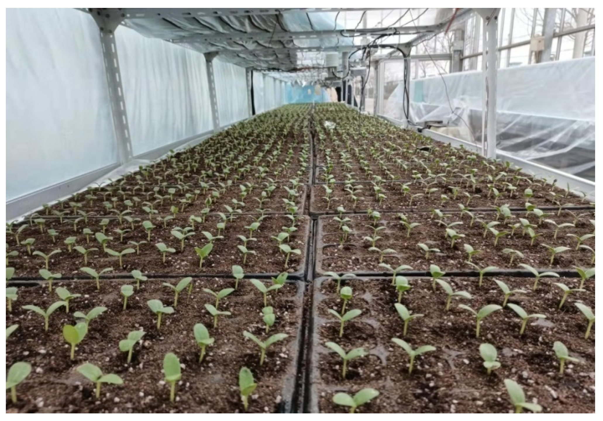 Agriculture 12 01401 g008 550