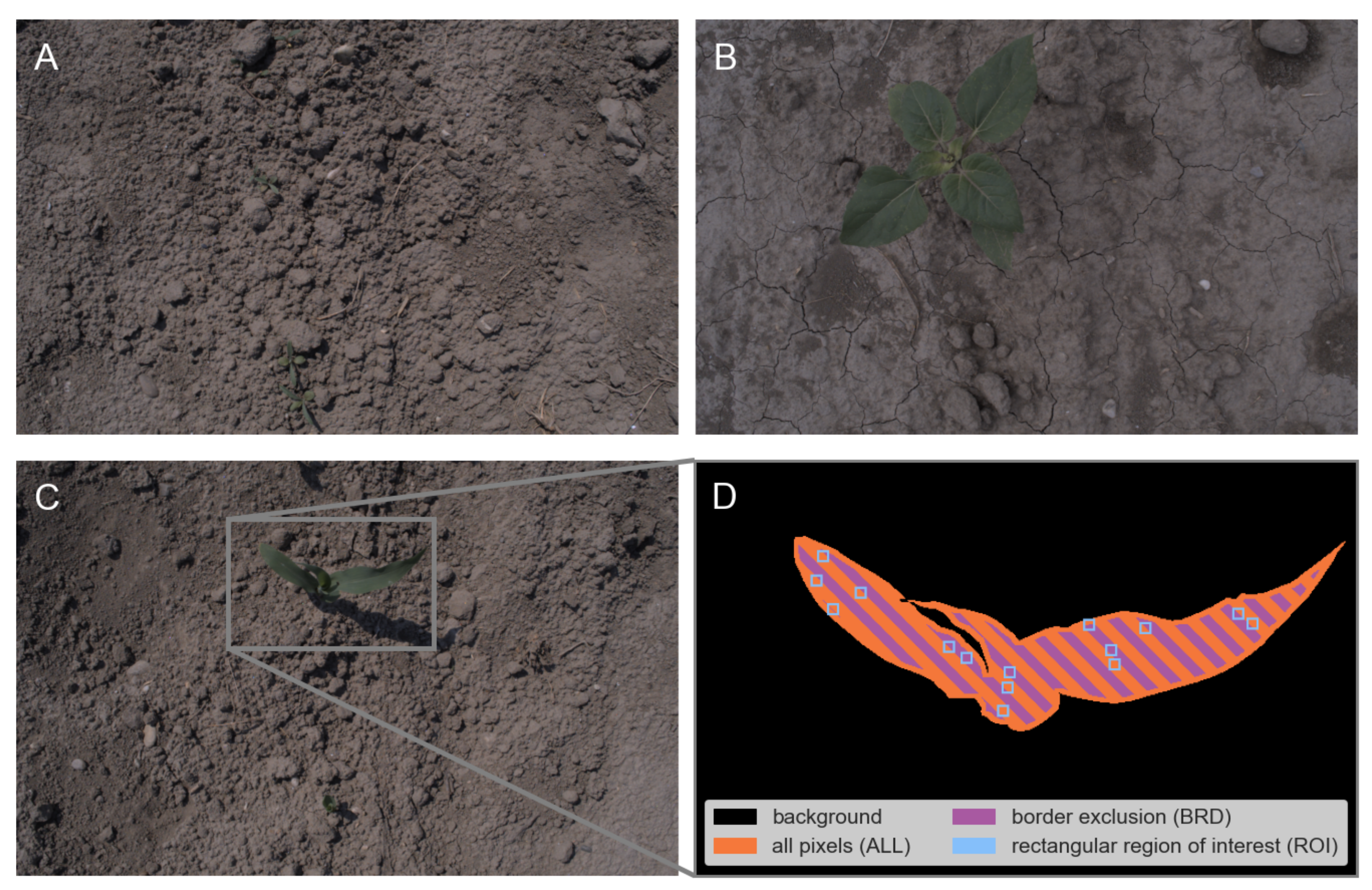Agriculture 12 01408 g001 550