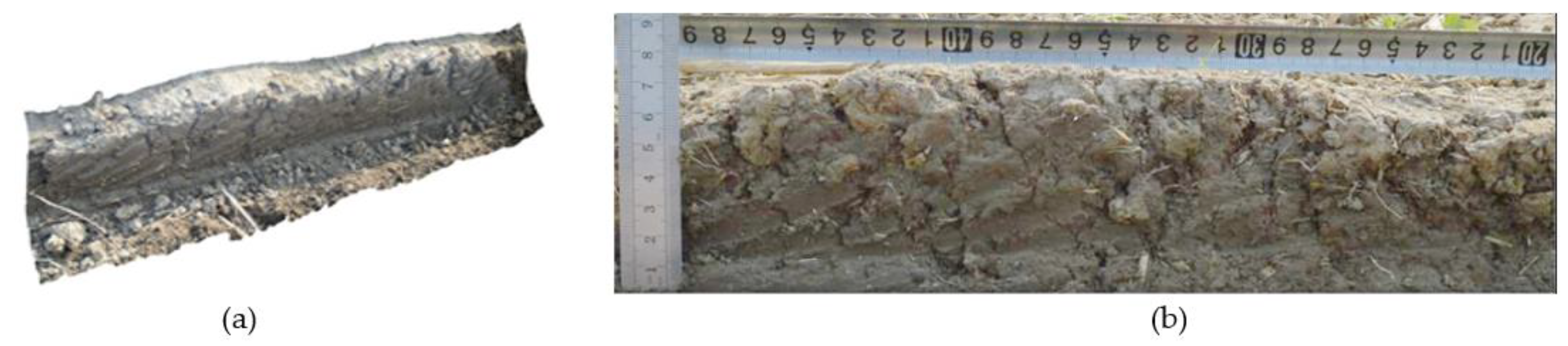 Agriculture 12 01411 g007 550