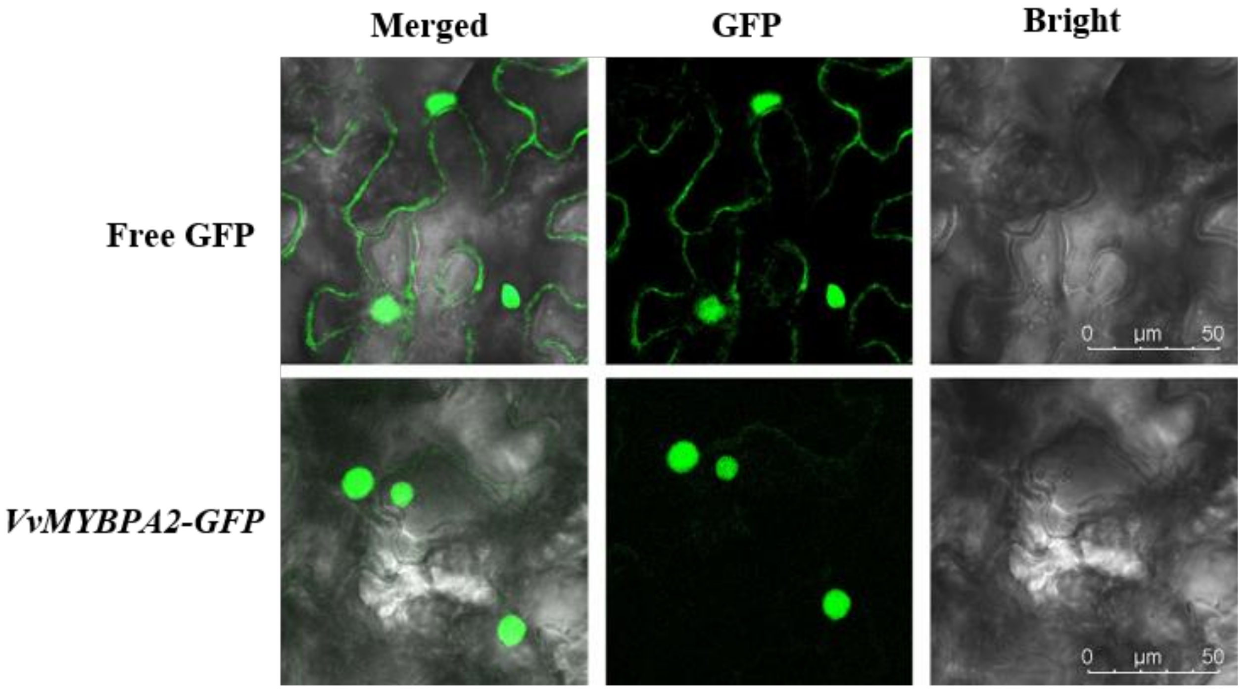 Agriculture 12 01414 g001 550
