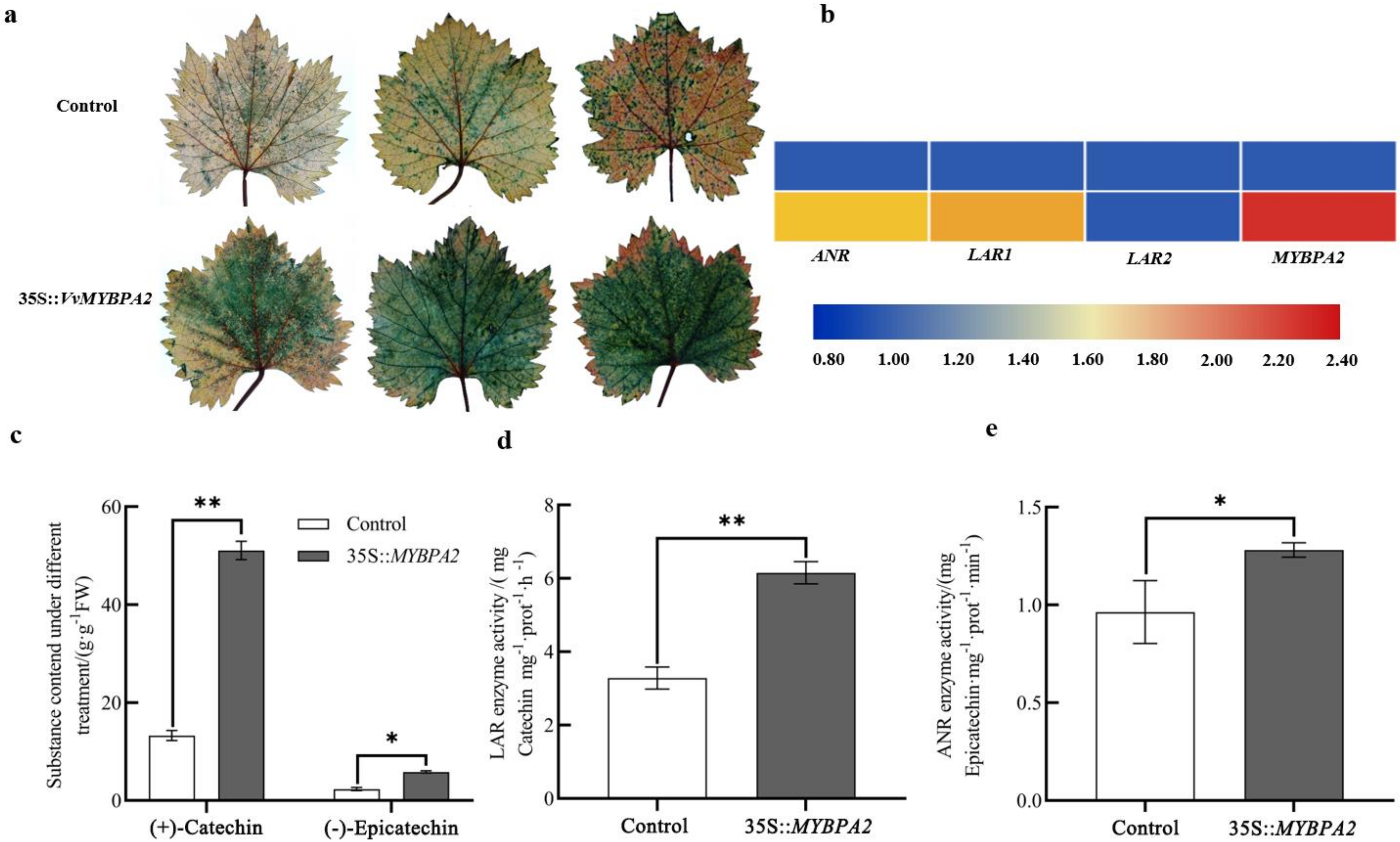 Agriculture 12 01414 g002 550
