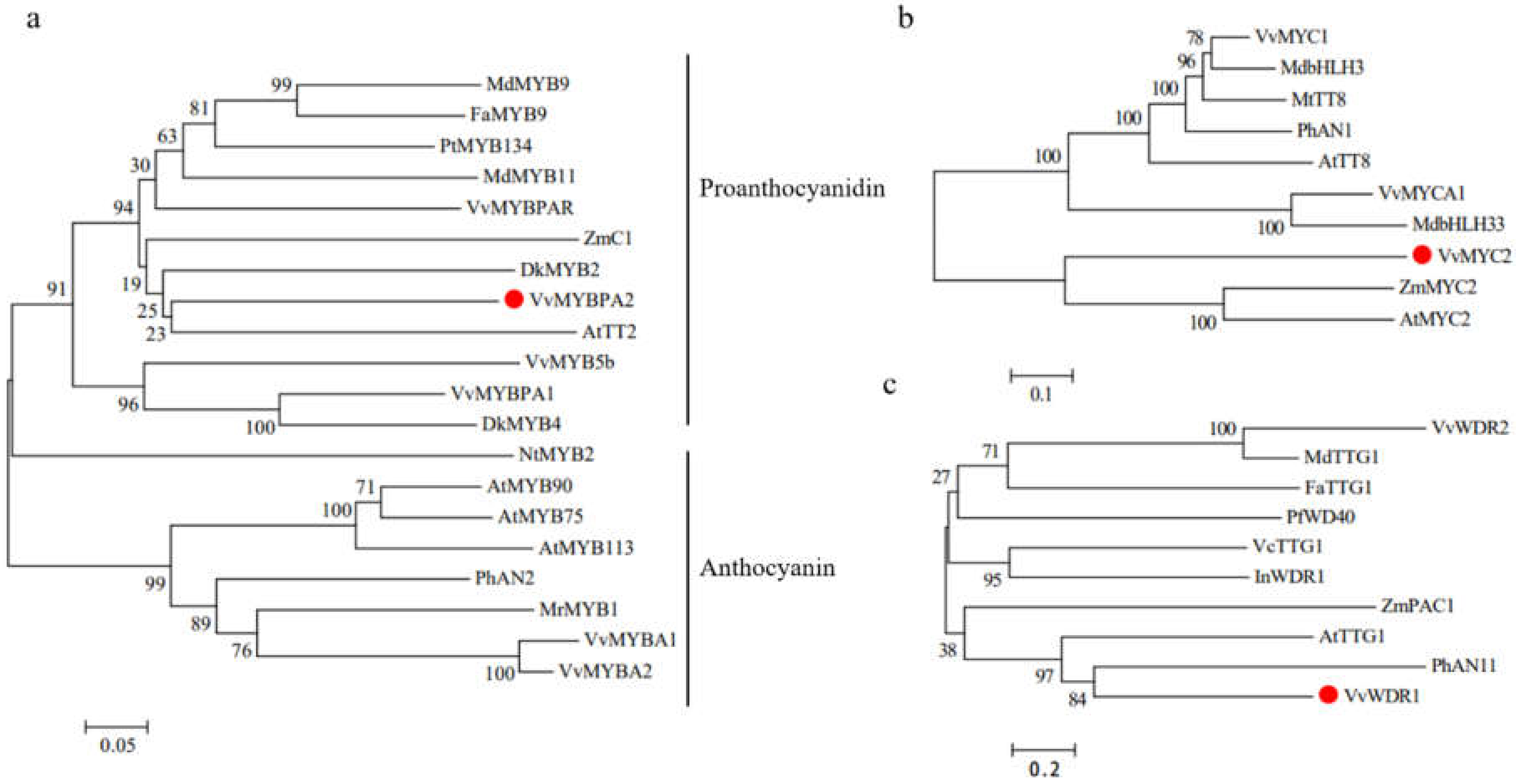 Agriculture 12 01414 g003 550