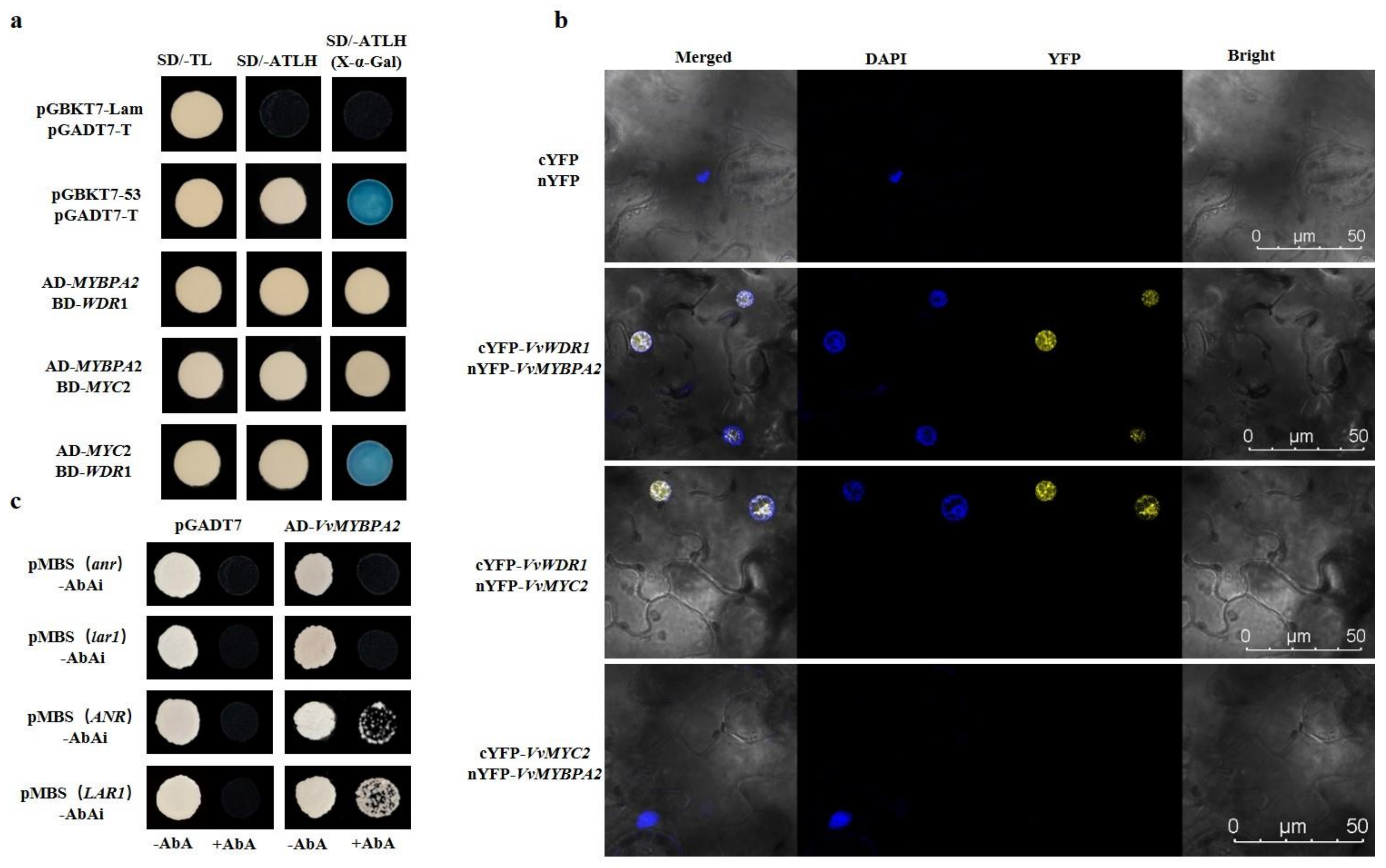 Agriculture 12 01414 g004 550