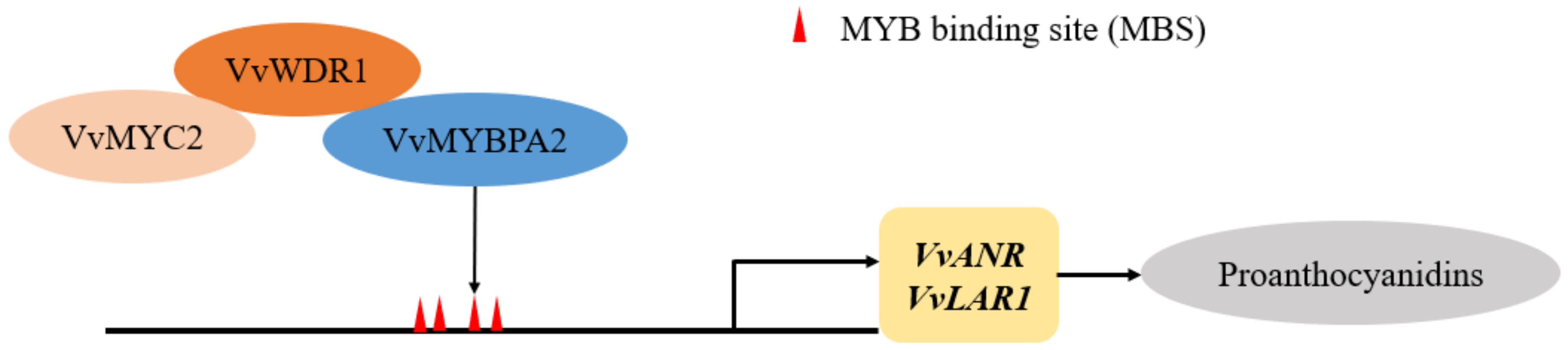 Agriculture 12 01414 g005 550