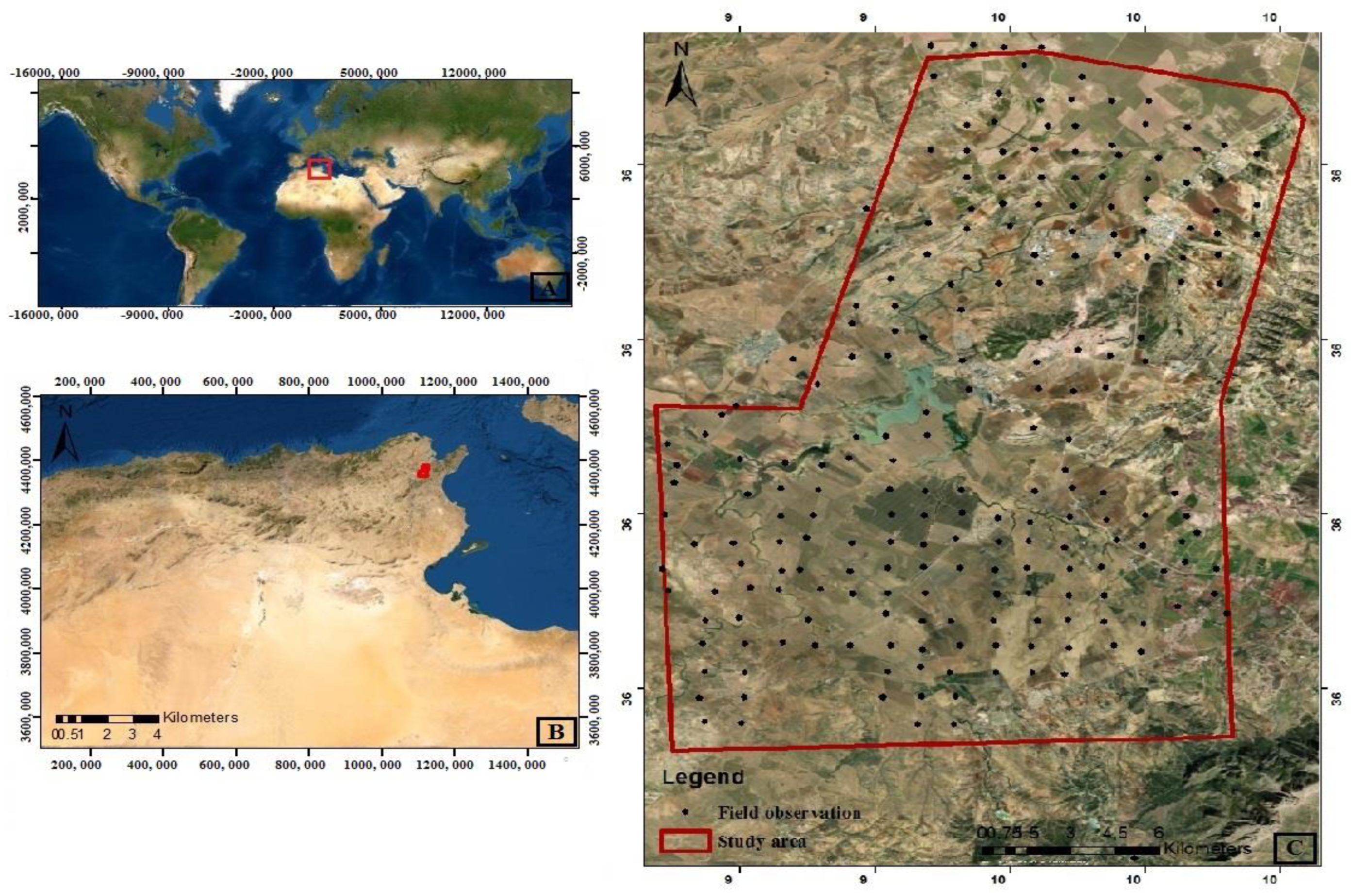 Agriculture 12 01429 g001